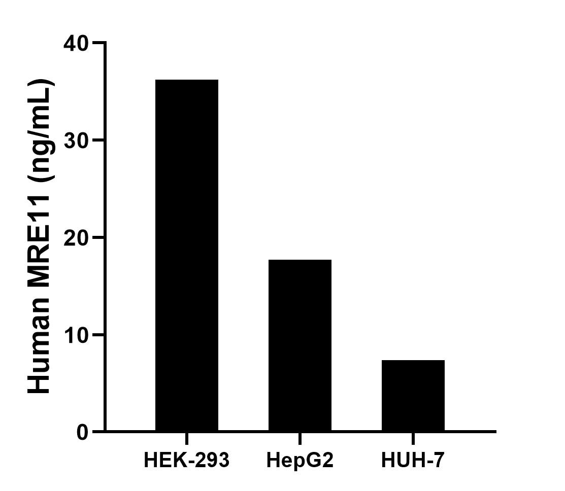 Cytometric bead array sample test of MP02855-1