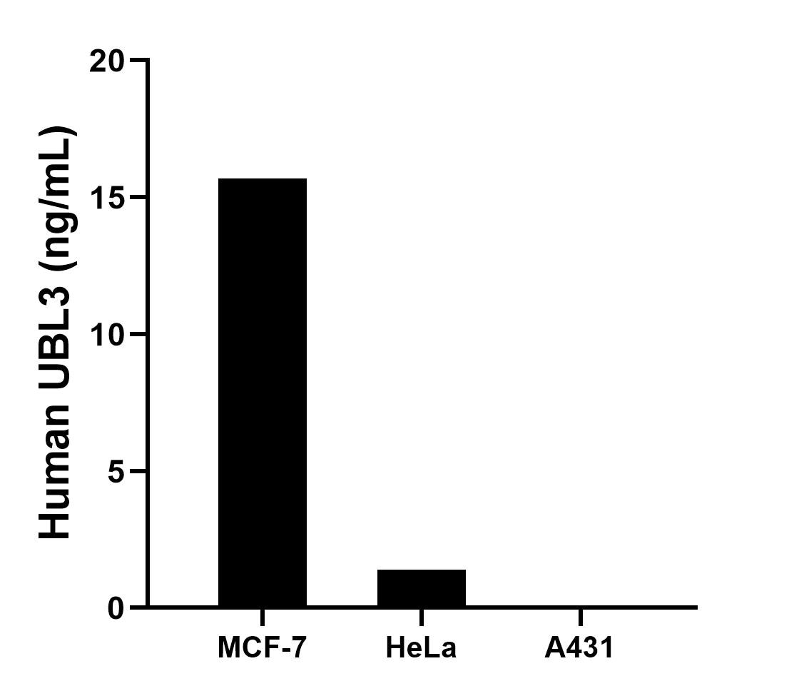The mean UBL3 concentration was determined to be 15.7 ng/mL in MCF-7 cell extract based on a 1.2 mg/mL extract load, 1.4 ng/mL in HeLa cell extract based on a 1.2 mg/mL extract load, A431 cell extract were served as a negative control. Cytometric bead array sample test of MP02857-1