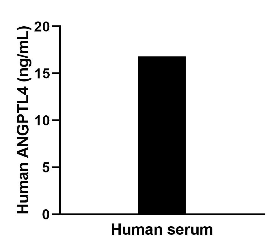 The mean ANGPTL4 concentration was determined to be 17.0 ng/mL in human serum. The mean ANGPTL4 concentration was determined to be 17.0 ng/mL in human serum.