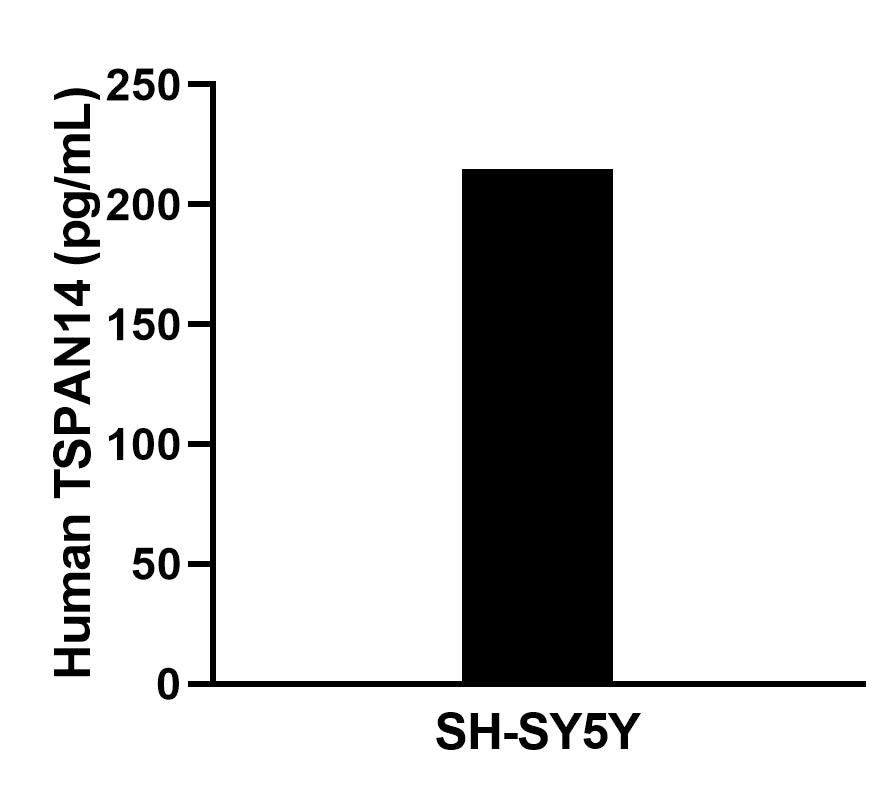 The mean TSPAN14 concentration was determined to be 217.2 pg/mL in SH-SY5Y cell extract based on a 1.2 mg/mL extract load. Cytometric bead array sample test of MP02883-1