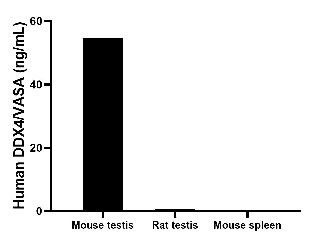 The mean DDX4/VASA concentration was determined to be 54.5 ng/mL in mouse testis tissue extract based on a 4.2 mg/mL extract load, 0.7 ng/mL in rat testis tissue extract based on a 1.5 mg/mL extract load, 0.3 ng/mL in mouse spleen tissue extract based on a 6.4 mg/mL extract load.