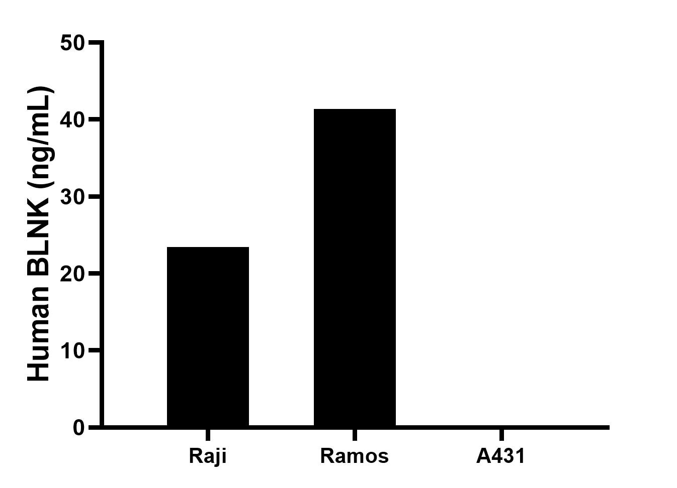 The mean BLNK concentration was determined to be 23.4 ng/mL in Raji cell extract based on a 1.2 mg/mL extract load, 41.4 ng/mL in Ramos cell extract based on a 1.1 mg/mL extract load, A431 cell extract were served as a negative control. Cytometric bead array sample test of MP02893-1