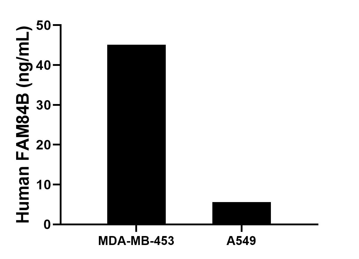 Cytometric bead array sample test of MP02903-1 Cytometric bead array sample test of MP02903-1