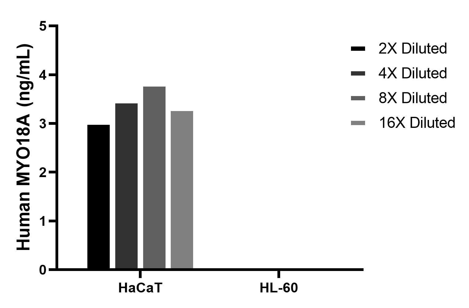 The mean MYO18A concentration was determined to be 3.4 ng/mL in HaCaT cell extract based on a 1.4 mg/mL extract load, HL-60 cell extract were served as a negative control.