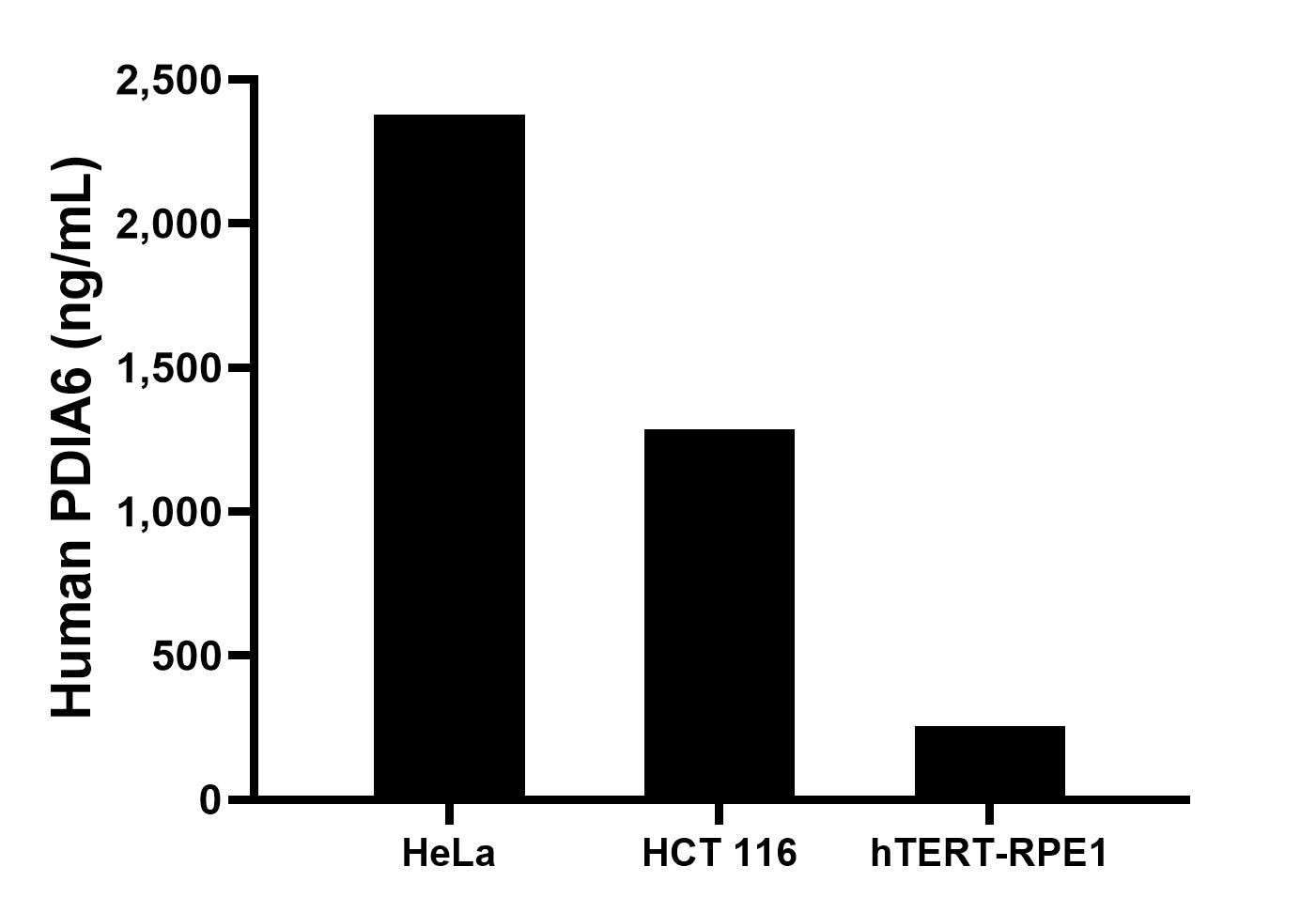 The mean PDIA6 concentration was determined to be 2378.7 ng/mL in HeLa cell extract based on a 1.2 mg/mL extract load,  1285.7 ng/mL in HCT 116 cell extract based on a 1.3 mg/mL extract load, 257.2 ng/mL in hTERT-RPE1 cell extract based on a 1.3 mg/mL extract load.