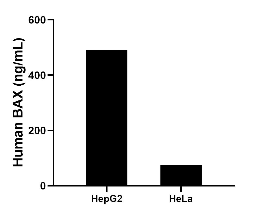 Cytometric bead array sample test of MP02957-1