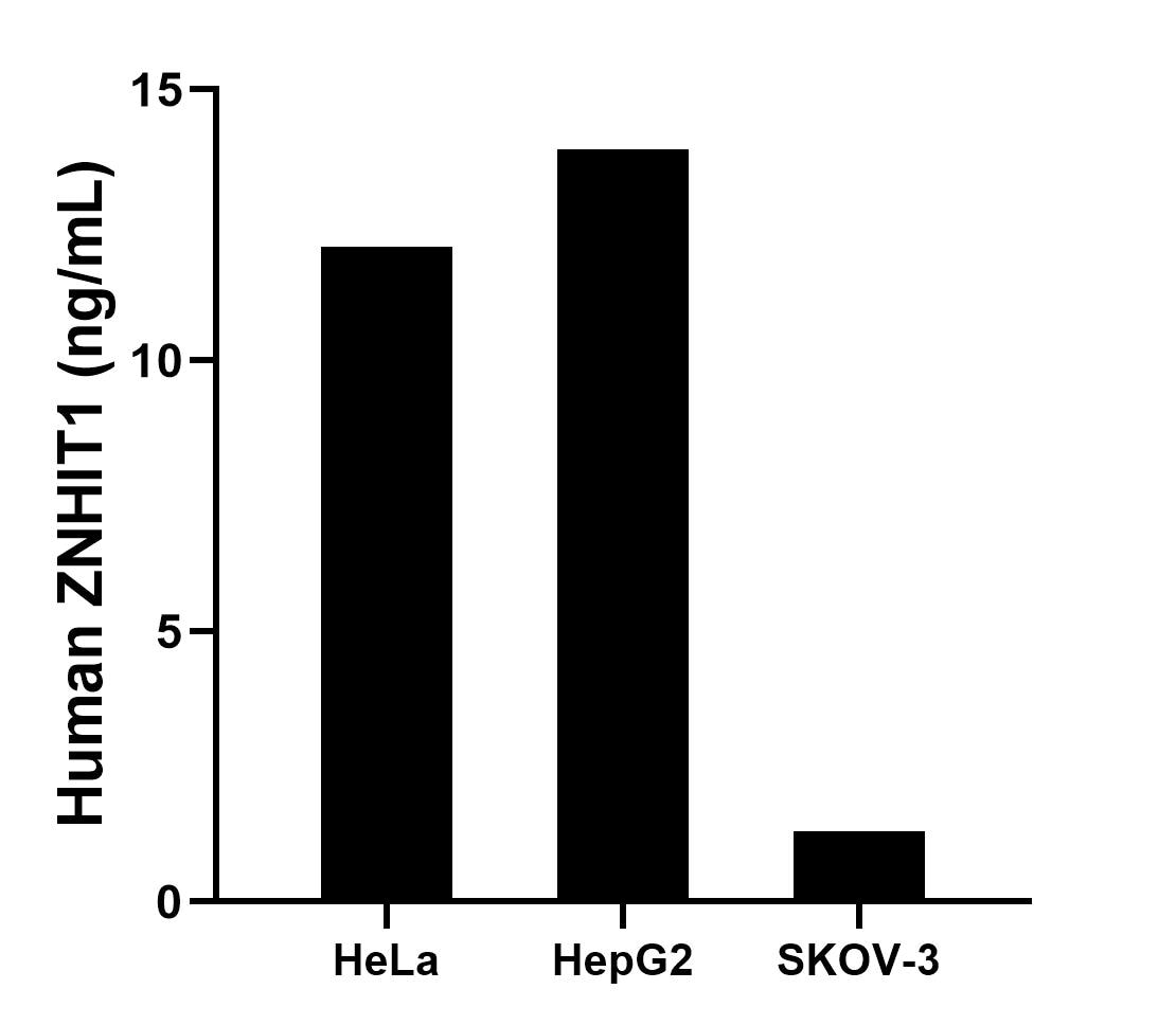 Cytometric bead array sample test of MP03003-1