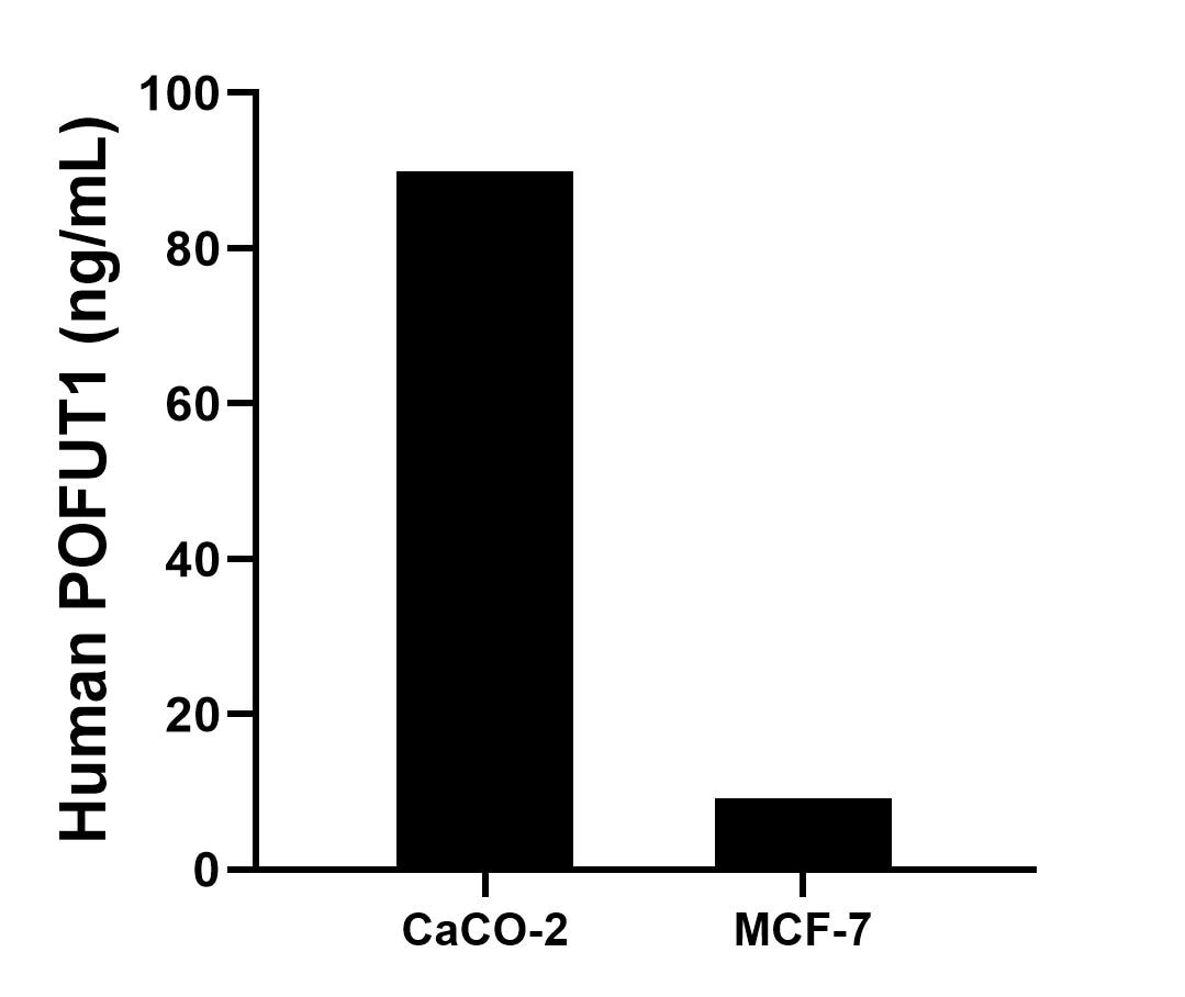 Cytometric bead array sample test of MP03009-1
