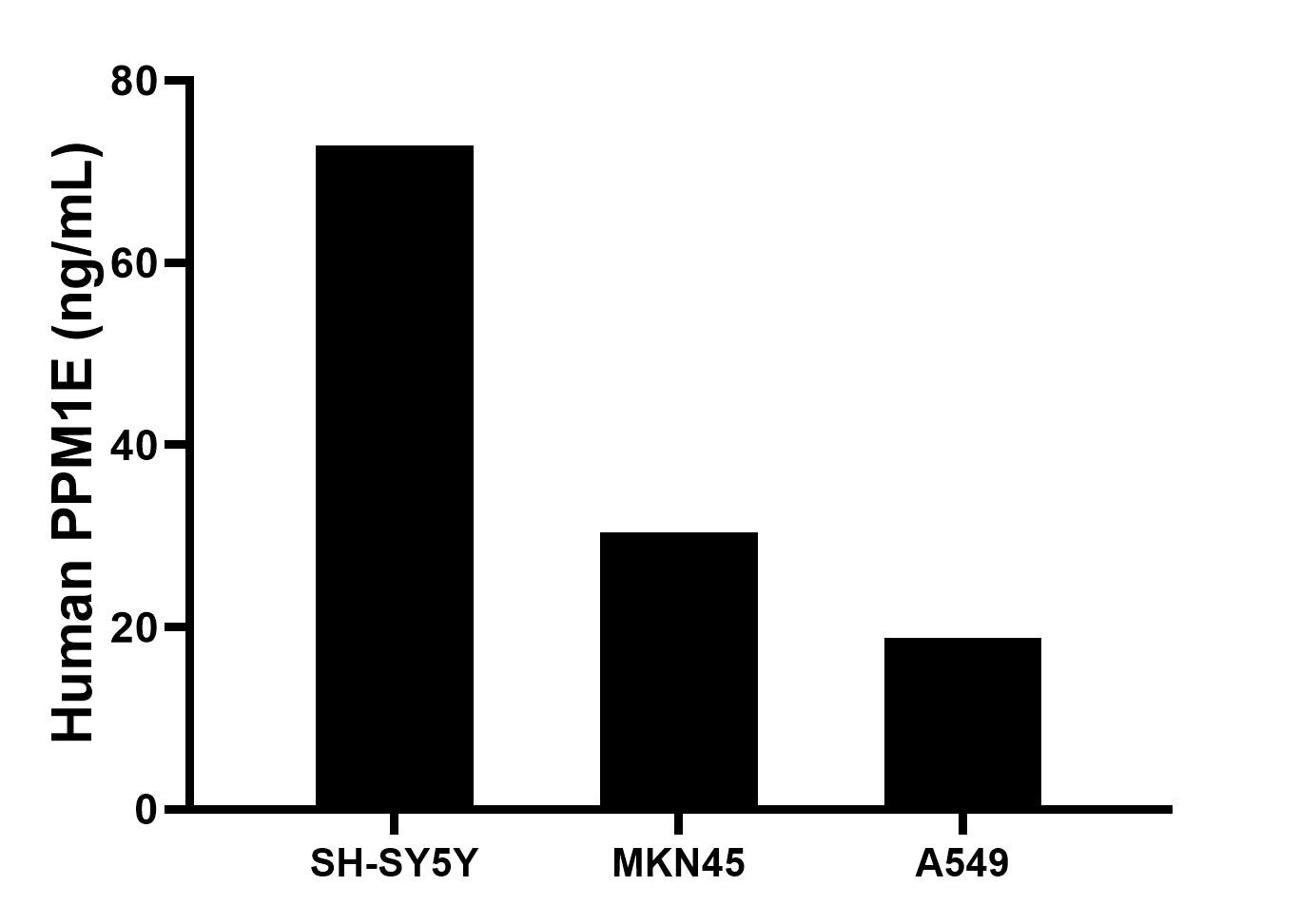 The mean PPM1E concentration was determined to be 72.9 ng/mL in SH-SY5Y cell extract based on a 1.2 mg/mL extract load, 30.4 ng/mL in MKN45 cell extract based on a 1.2 mg/mL extract load, 18.8 ng/mL in A549 cell extract based on a 1.2 mg/mL extract load. The mean PPM1E concentration was determined to be 72.9 ng/mL in SH-SY5Y cell extract based on a 1.2 mg/mL extract load, 30.4 ng/mL in MKN45 cell extract based on a 1.2 mg/mL extract load, 18.8 ng/mL in A549 cell extract based on a 1.2 mg/mL extract load.