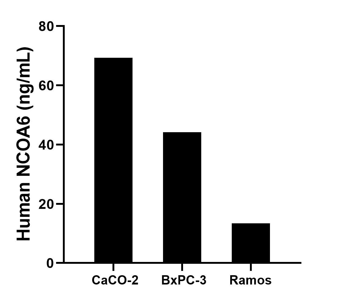 Cytometric bead array sample test of MP03030-1 Cytometric bead array sample test of MP03030-1