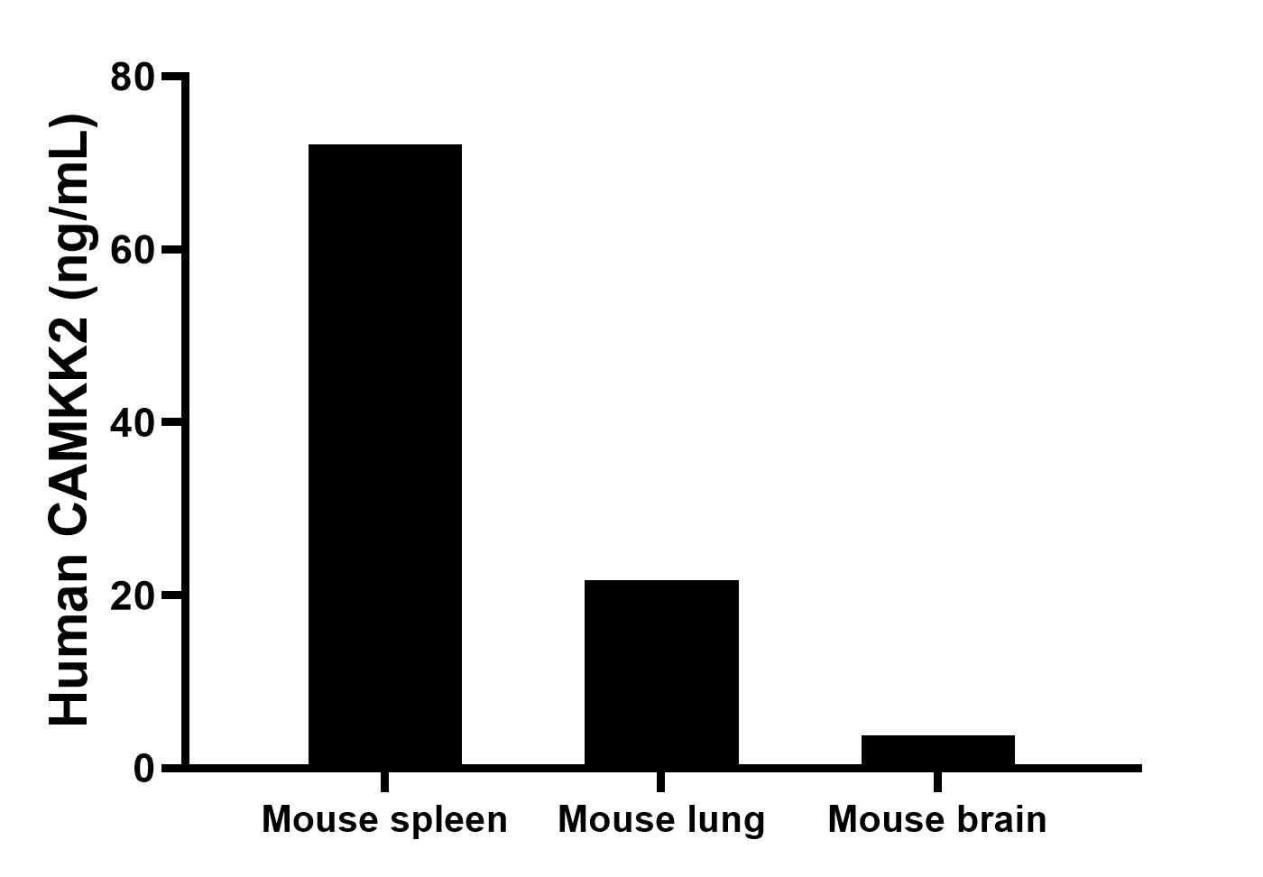 The mean CD11b concentration was determined to be 72.1 ng/mL in  mouse spleen tissue extract based on a 6.4 mg/mL extract load, 21.7 ng/mL in  mouse lung tissue extract based on a 5.0 mg/mL extract load, 3.8 ng/mL in  mouse brain tissue extract based on a 3.2 mg/mL extract load.