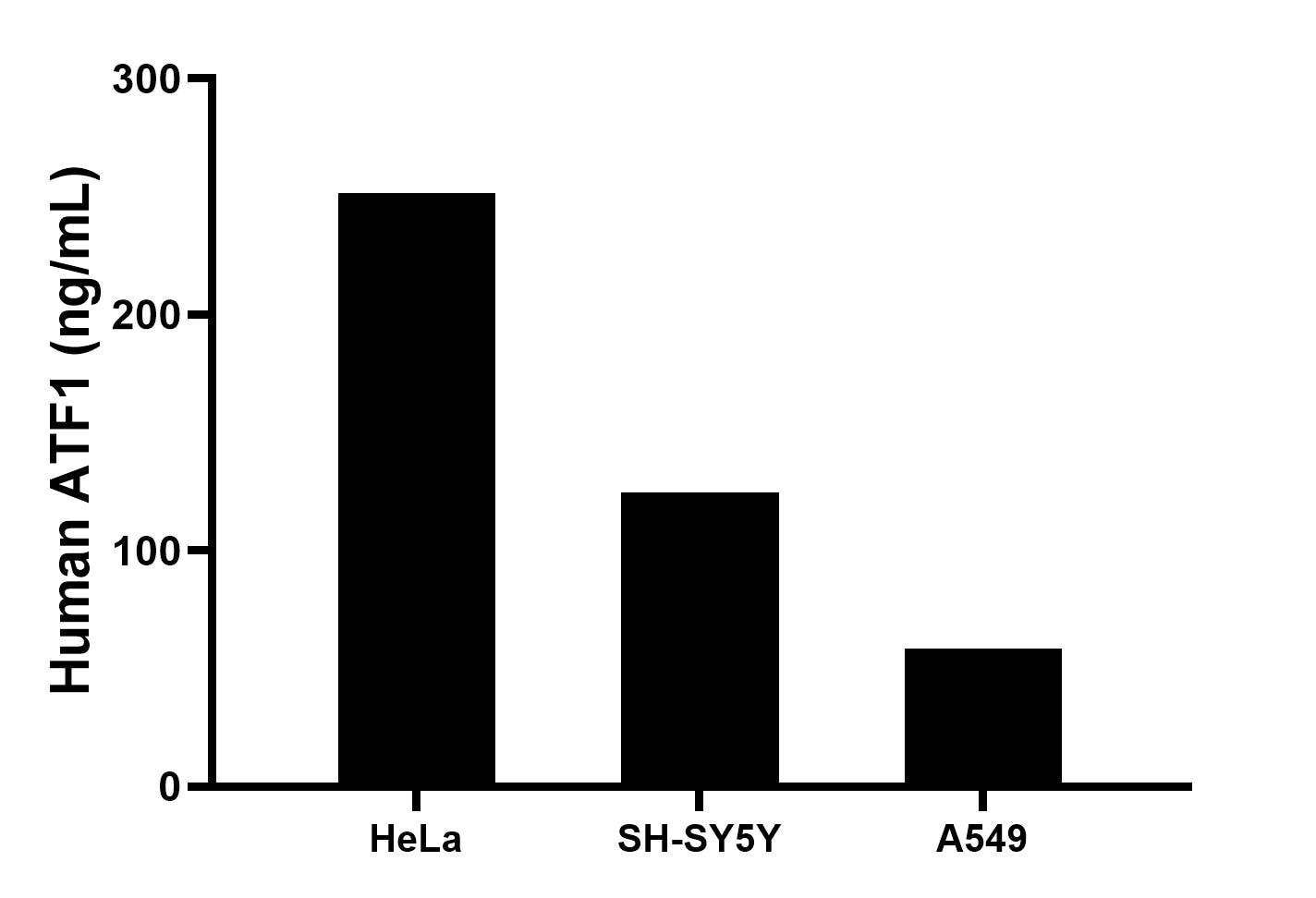 The mean ATF1 concentration was determined to be 251.5 ng/mL in HeLa cell extract based on a 1.2 mg/mL extract load, 124.3 ng/mL in SH-SY5Y cell extract based on a 1.2 mg/mL extract load, 58.4 ng/mL in A549 cell extract based on a 1.2 mg/mL extract load.