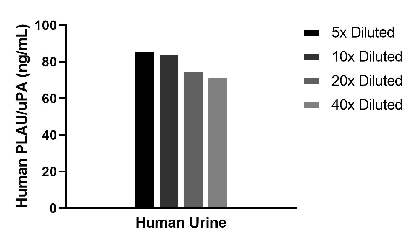The mean uPA/Urokinase concentration was determined to be 79.6 ng/mL in human urine. Cytometric bead array sample test of MP03048-1