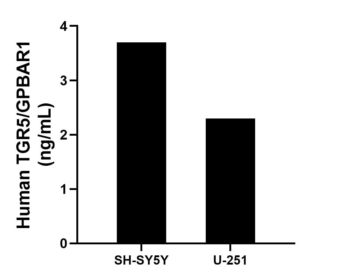 Cytometric bead array sample test of MP03050-1