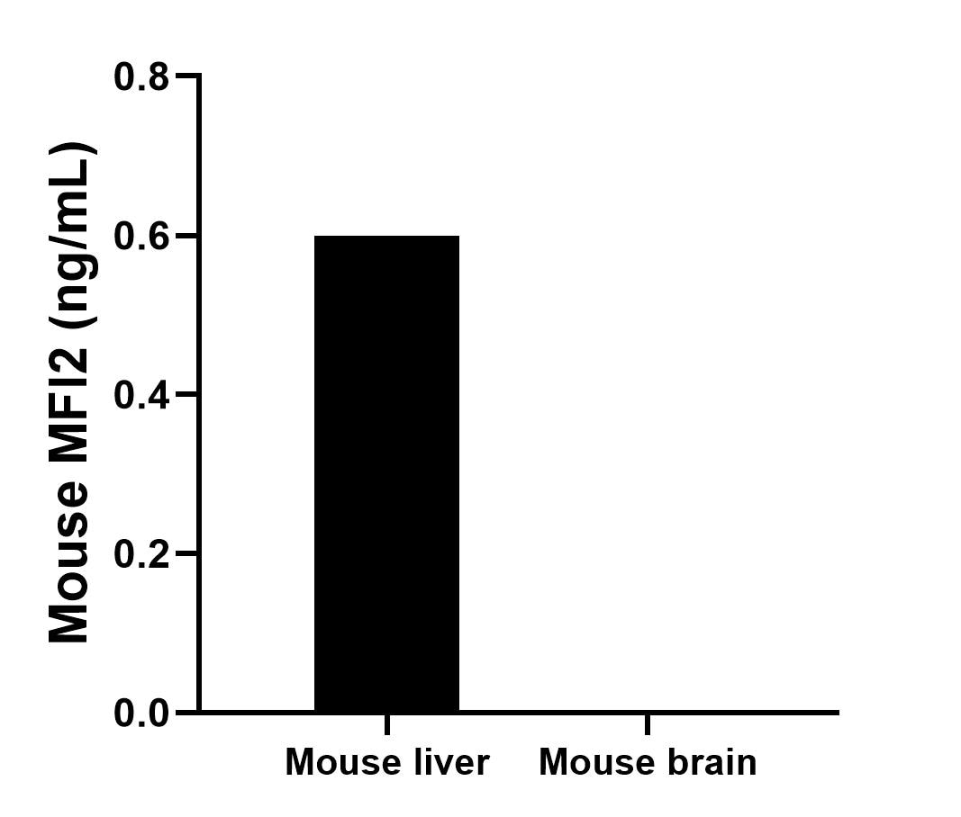Cytometric bead array sample test of MP03051-1