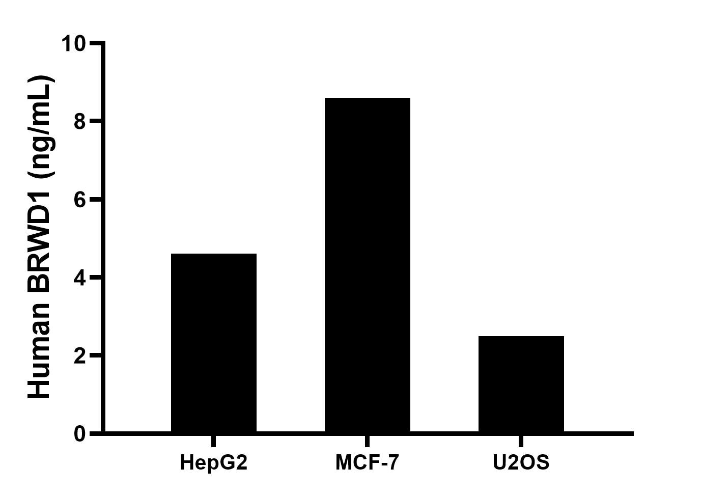 The mean BRWD1 concentration was determined to be 4.6 ng/mL in HepG2 cell extract based on a 1.2 mg/mL extract load, 8.6 ng/mL in MCF-7 cell extract based on a 1.2 mg/mL extract load, 2.5 ng/mL in U2OS cell extract based on a 1.2 mg/mL extract load.