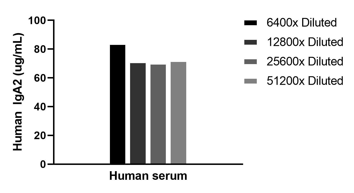 The mean IgA2 concentration was determined to be 74.36 ug/mL in human serum. Cytometric bead array sample test of MP03081-1