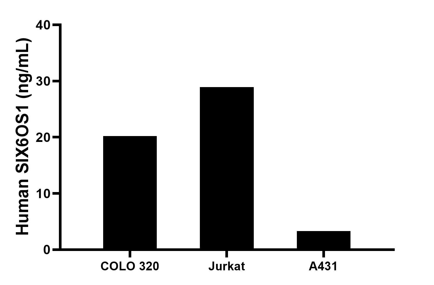 The mean SIX6OS1 concentration was determined to be 20.2 ng/mL in COLO 320 cell extract based on a 1.2 mg/mL extract load, 28.9 ng/mL in Jurkat cell extract based on a 1.2 mg/mL extract load, 3.3 ng/mL in A431 cell extract based on a 1.2 mg/mL extract load. The mean SIX6OS1 concentration was determined to be 20.2 ng/mL in COLO 320 cell extract based on a 1.2 mg/mL extract load, 28.9 ng/mL in Jurkat cell extract based on a 1.2 mg/mL extract load, 3.3 ng/mL in A431 cell extract based on a 1.2 mg/mL extract load.