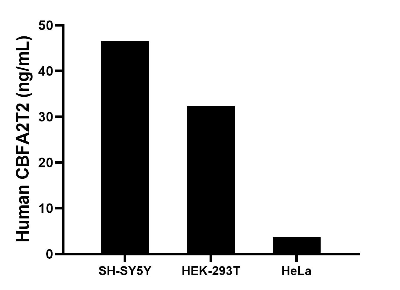 The mean CBFA2T2 concentration was determined to be 46.6 ng/mL in SH-SY5Y cell extract based on a 1.2 mg/mL extract load, 32.3 ng/mL in HEK-293T cell extract based on a 1.2 mg/mL extract load, 3.8 ng/mL in HeLa cell extract based on a 1.2 mg/mL extract load. The mean CBFA2T2 concentration was determined to be 46.6 ng/mL in SH-SY5Y cell extract based on a 1.2 mg/mL extract load, 32.3 ng/mL in HEK-293T cell extract based on a 1.2 mg/mL extract load, 3.8 ng/mL in HeLa cell extract based on a 1.2 mg/mL extract load.