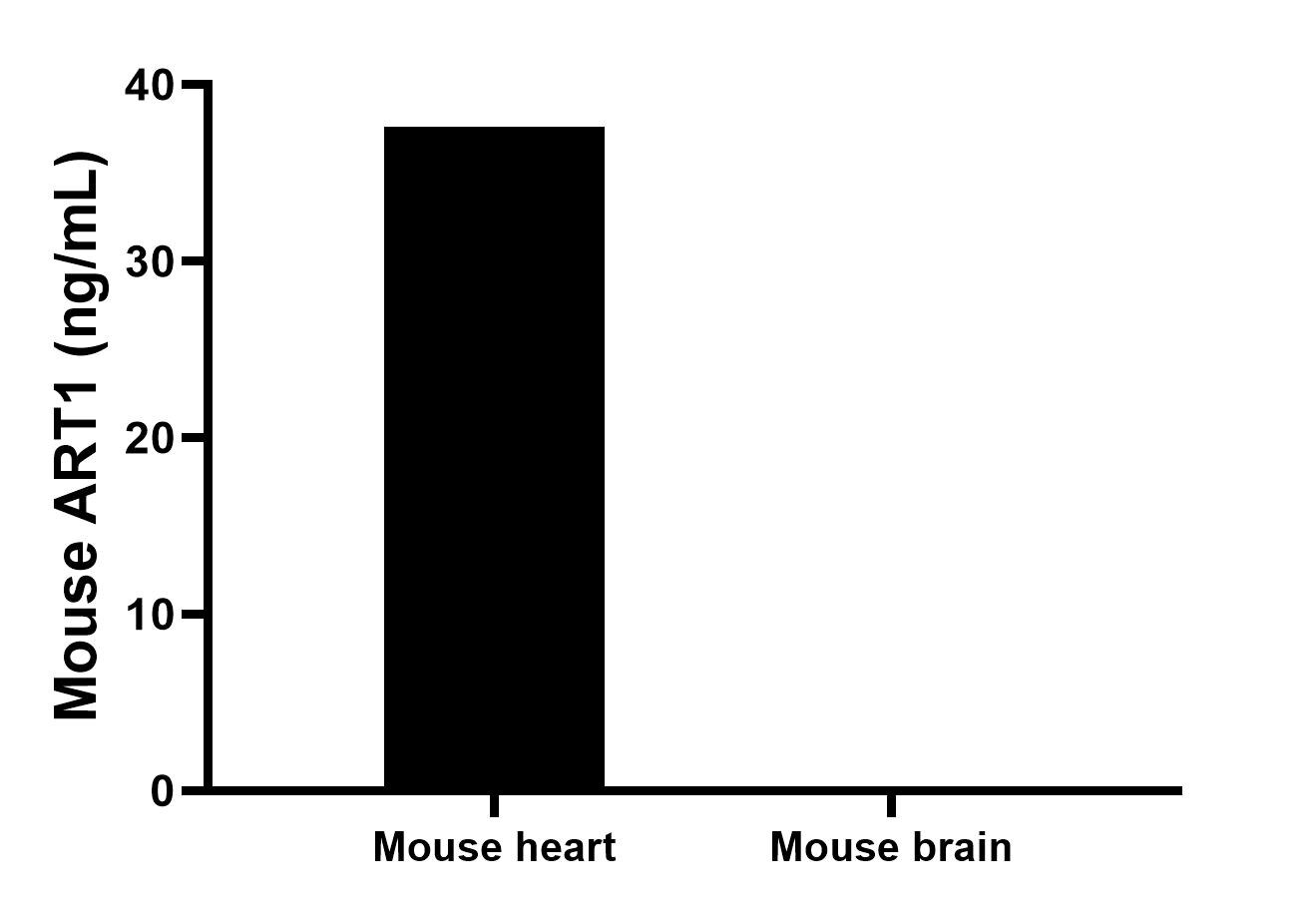 The mean ART1 concentration was determined to be 37.6 ng/mL in mouse heart tissue extract based on a 5.4 mg/mL extract load, mouse brain tissue extract were served as a negative control. Cytometric bead array sample test of MP03128-1