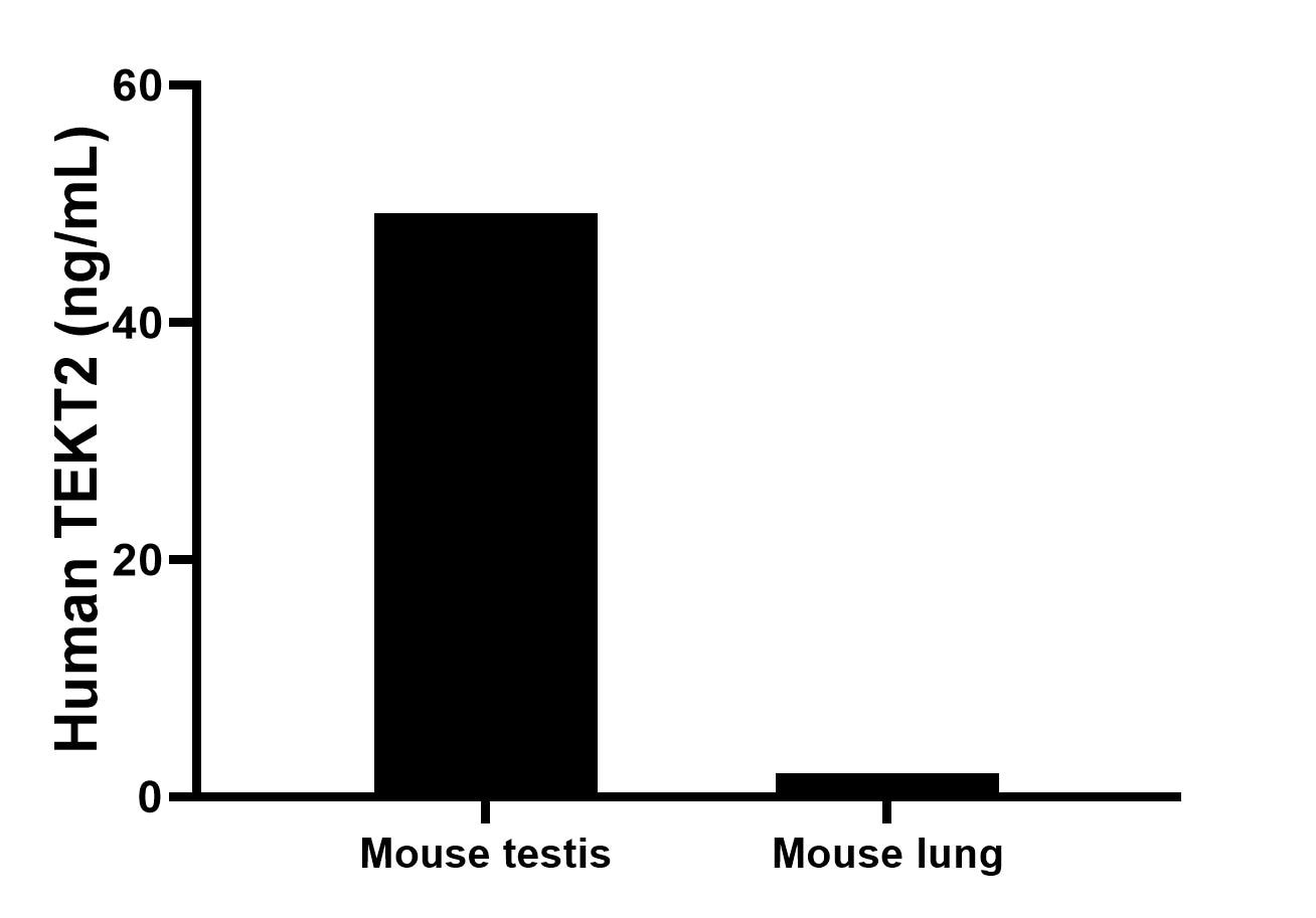 Cytometric bead array sample test of MP03140-1