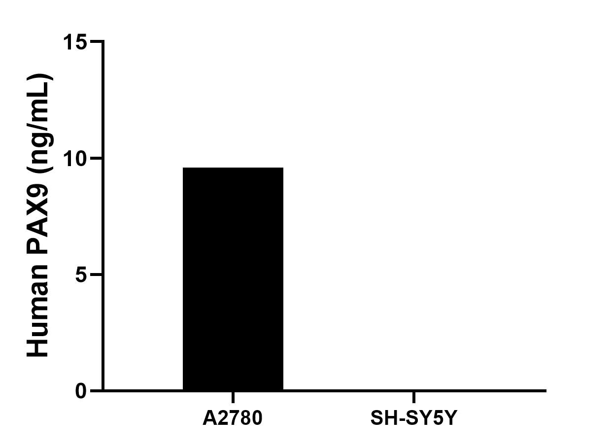 Cytometric bead array sample test of MP03150-1