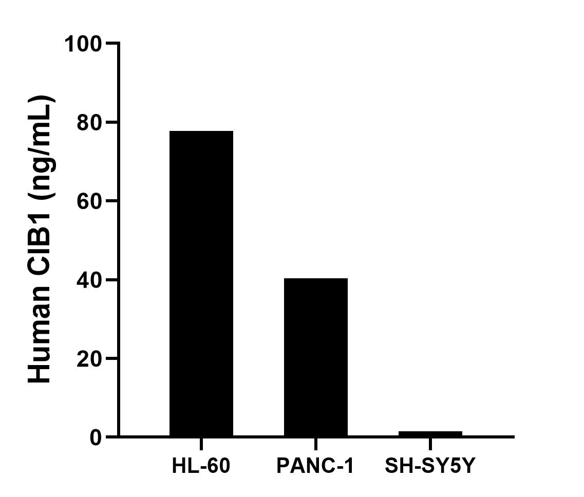 Cytometric bead array sample test of MP03171-1