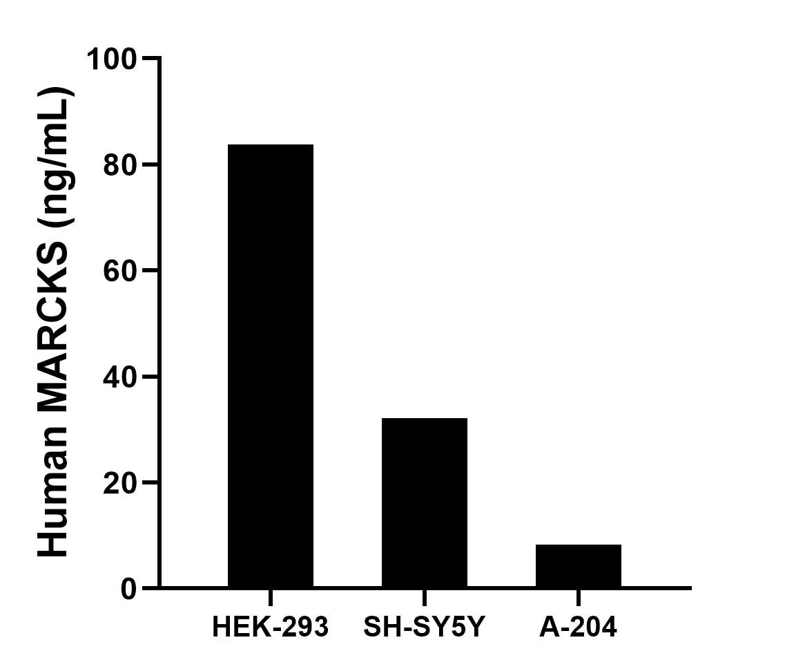 Cytometric bead array sample test of MP03172-1