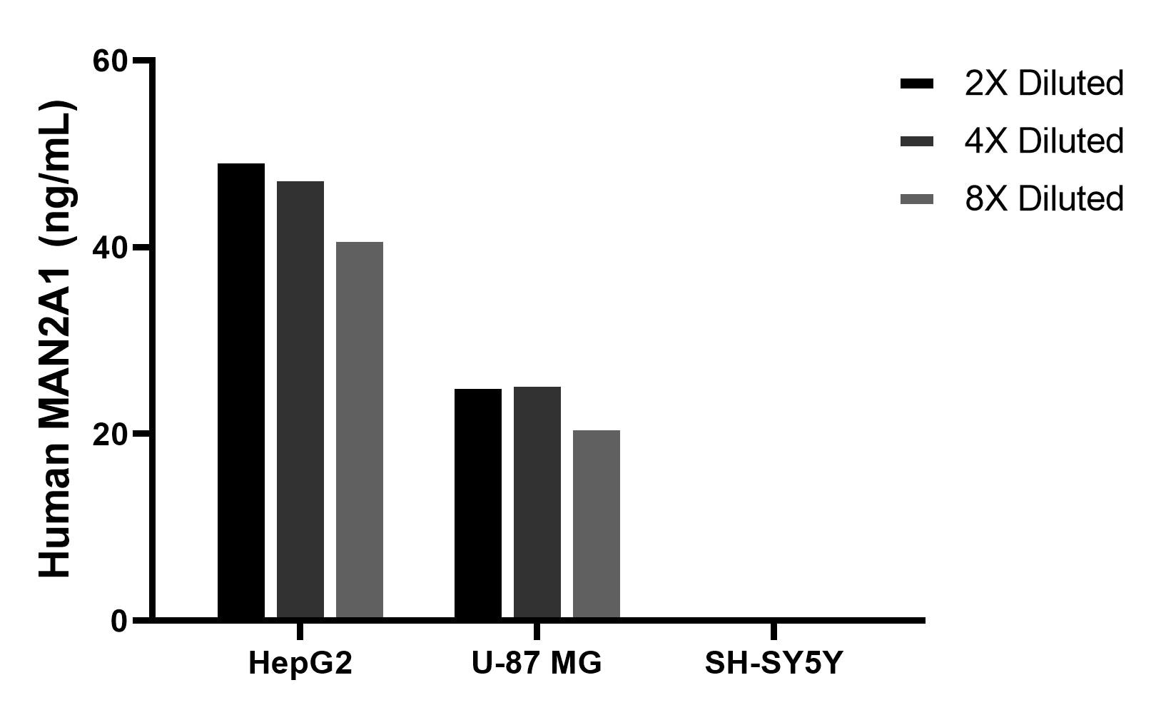 The mean MAN2A1 concentration was determined to be 46.2 ng/mL in HepG2 cell extract based on a 1.2 mg/mL extract load, 24.1 ng/mL in U-87 MG cell extract based on a 1.2 mg/mL extract load, SH-SY5Y cell extract were served as a negative control.