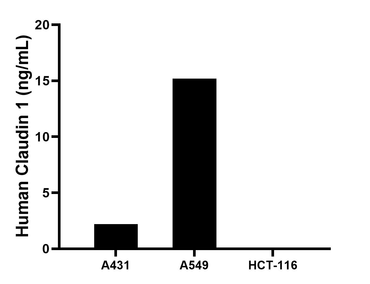 The mean Claudin 1 concentration was determined to be 2.2 ng/mL in A431 cell extract based on a 1.5 mg/mL extract load, 15.2 ng/mL in A549 cell extract based on a 1.2 mg/mL extract load, HCT-116 cell extract were served as a negative control.