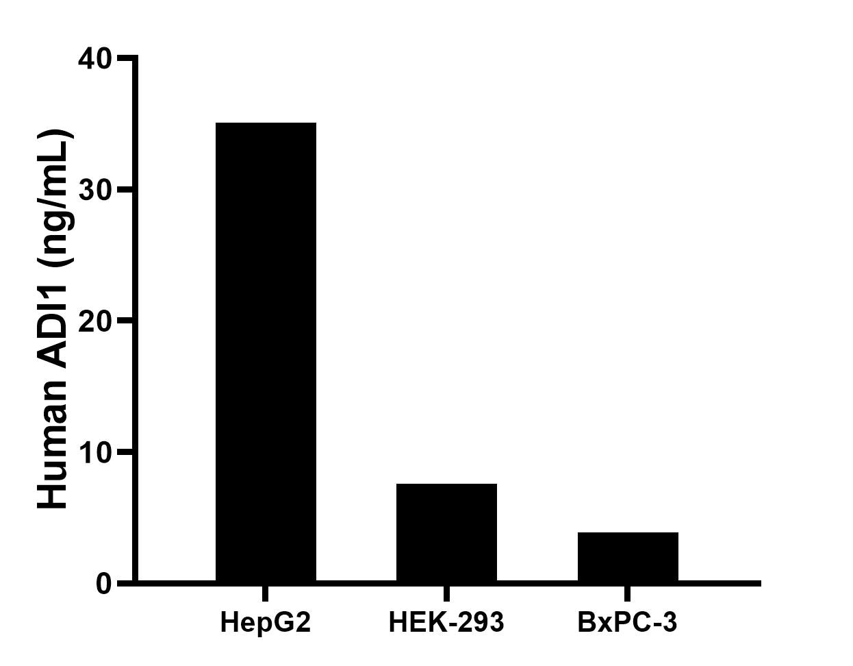Cytometric bead array sample test of MP03295-1 Cytometric bead array sample test of MP03295-1