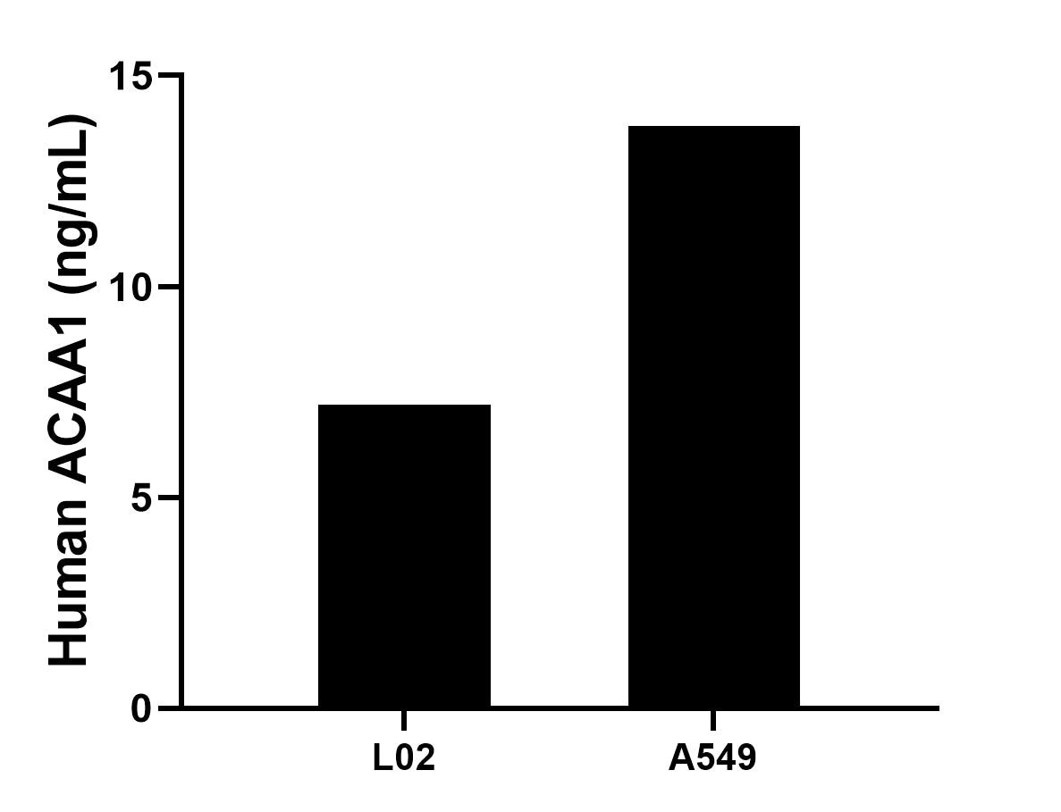 Cytometric bead array sample test of MP03301-1 Cytometric bead array sample test of MP03301-1