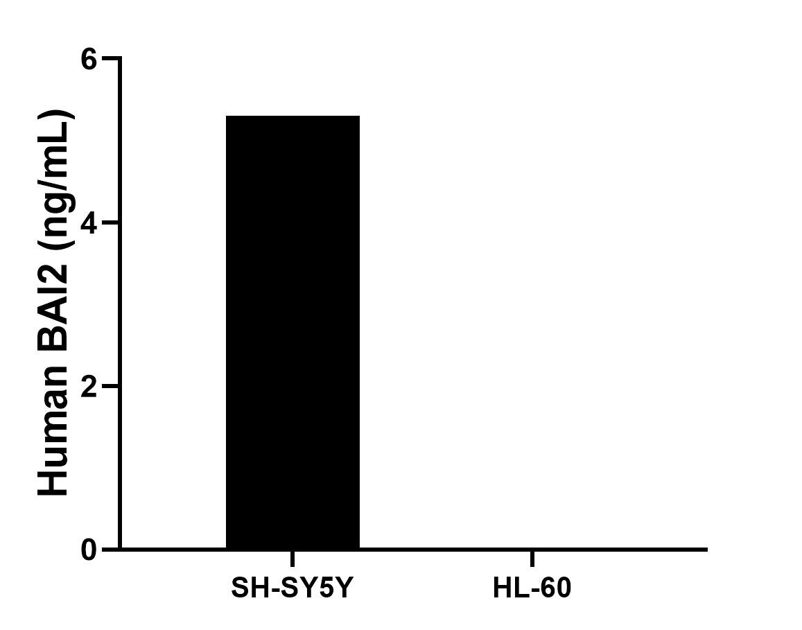 Cytometric bead array sample test of MP03303-1