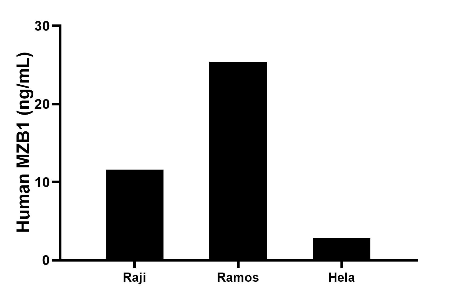 The mean MZB1 concentration was determined to be 11.6 ng/mL in Raji cell extract based on a 1.0 mg/mL extract load, 25.4 ng/mL in Ramos cell extract based on a 1.0 mg/mL extract load, 2.8 ng/mL in Hela cell extract based on a 1.0 mg/mL extract load.