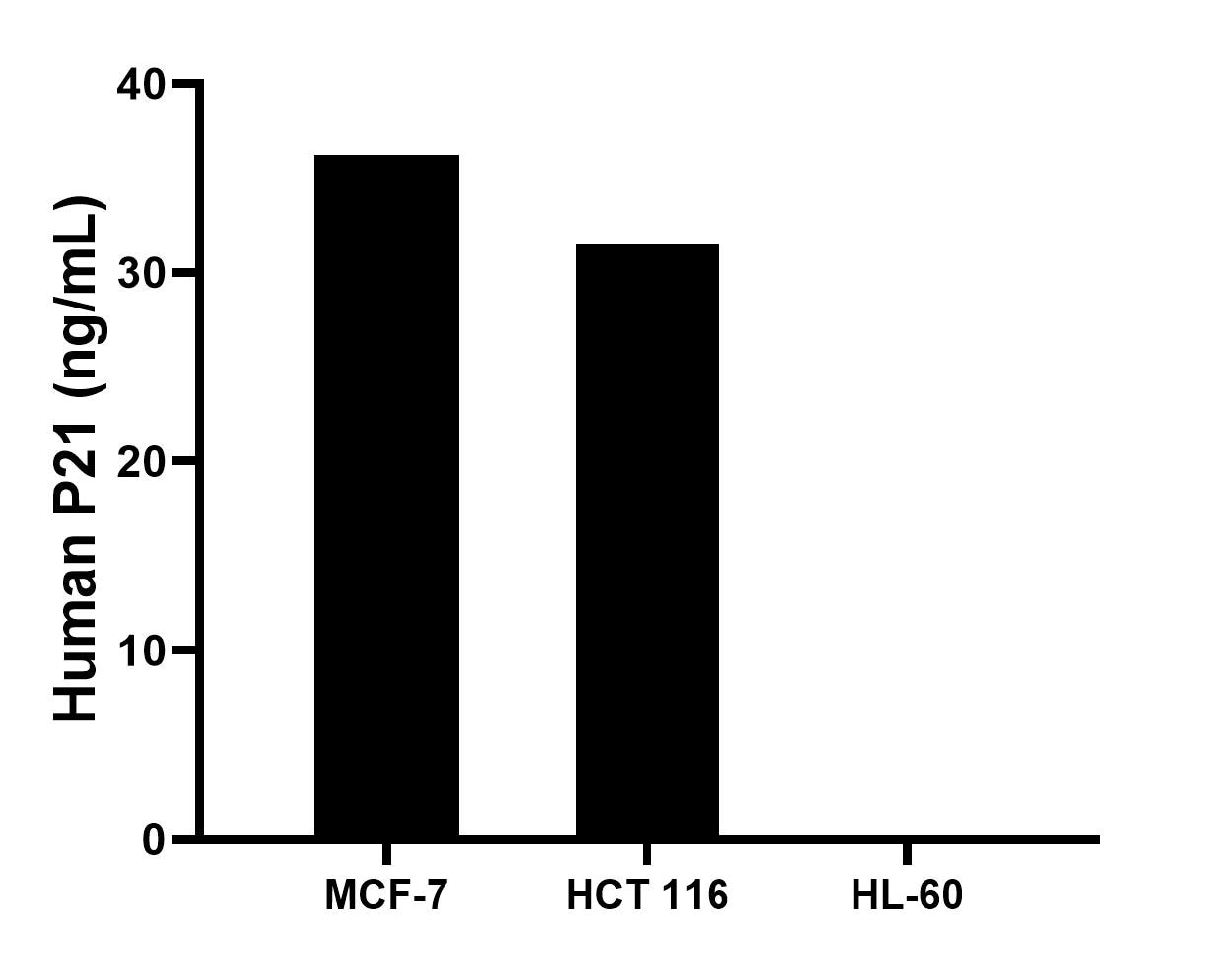 The mean P21 concentration was determined to be 36.2 ng/mL in MCF-7 cell extract based on a 1.0 mg/mL extract load, 31.5 ng/mL in HCT 116 cell extract based on a 1.0 mg/mL extract load, HL-60 cell extract were served as a negative control.