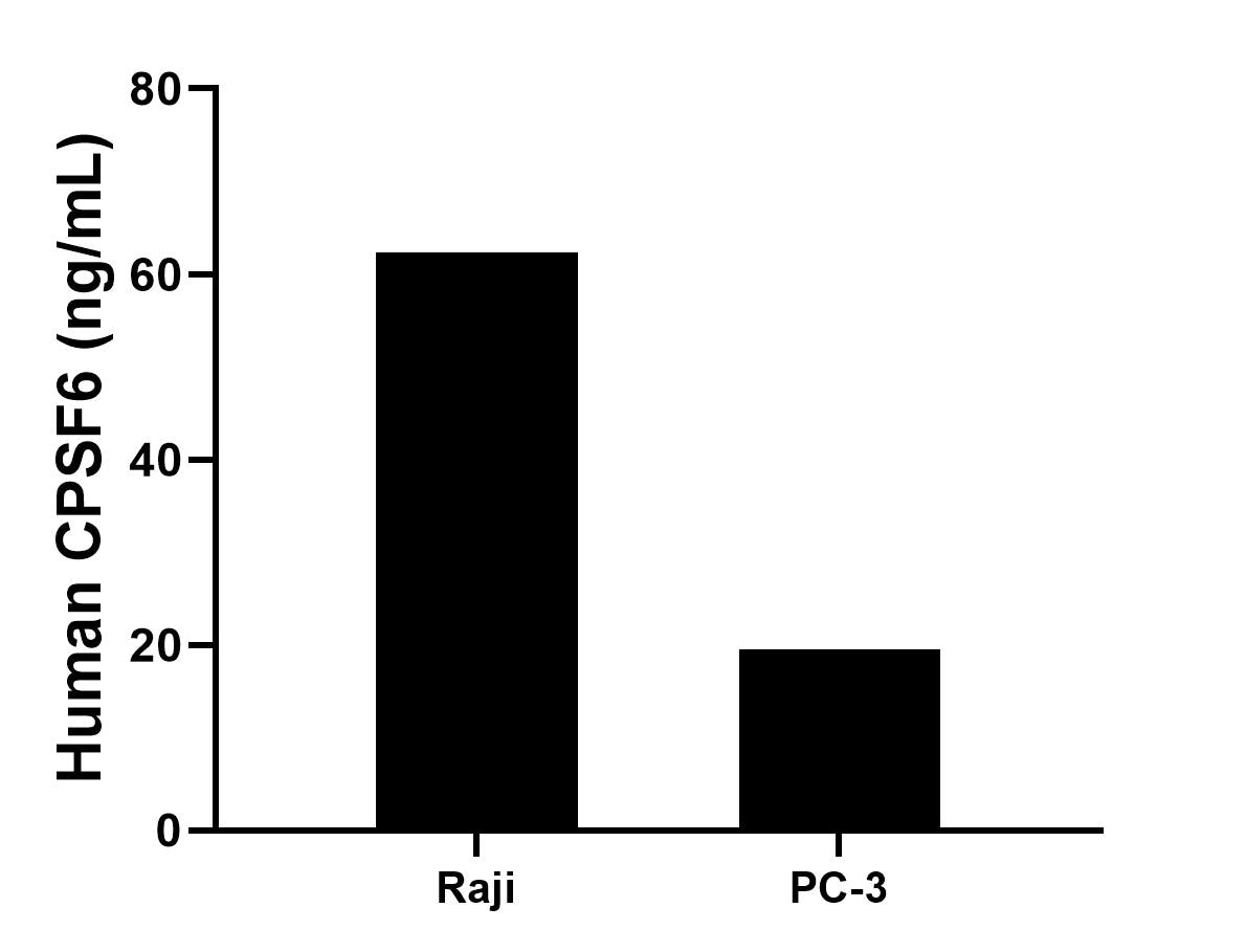 Cytometric bead array sample test of MP03495-1 Cytometric bead array sample test of MP03495-1