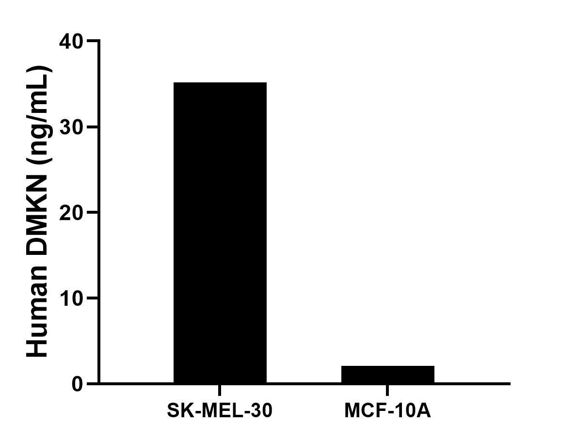 Cytometric bead array sample test of MP03499-1 Cytometric bead array sample test of MP03499-1