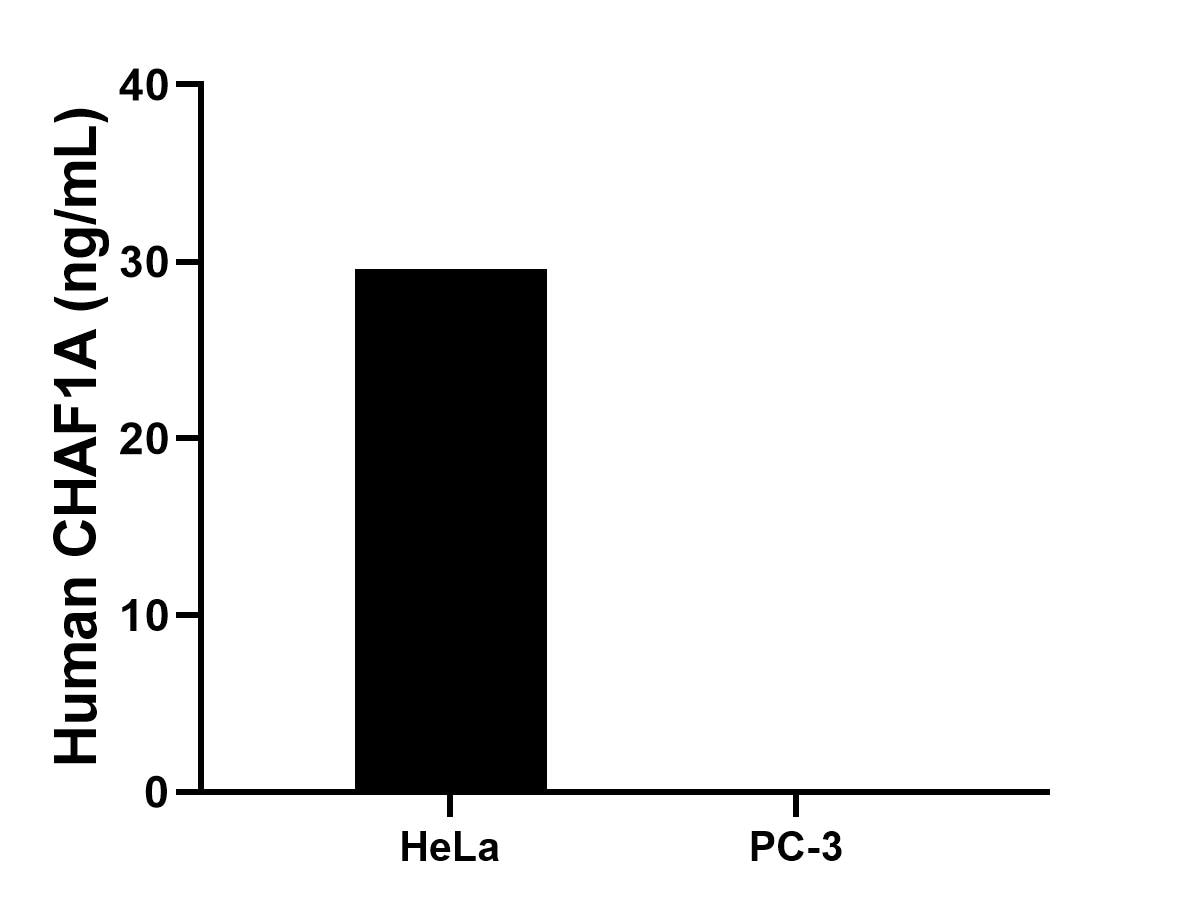 Cytometric bead array sample test of MP03508-1 Cytometric bead array sample test of MP03508-1