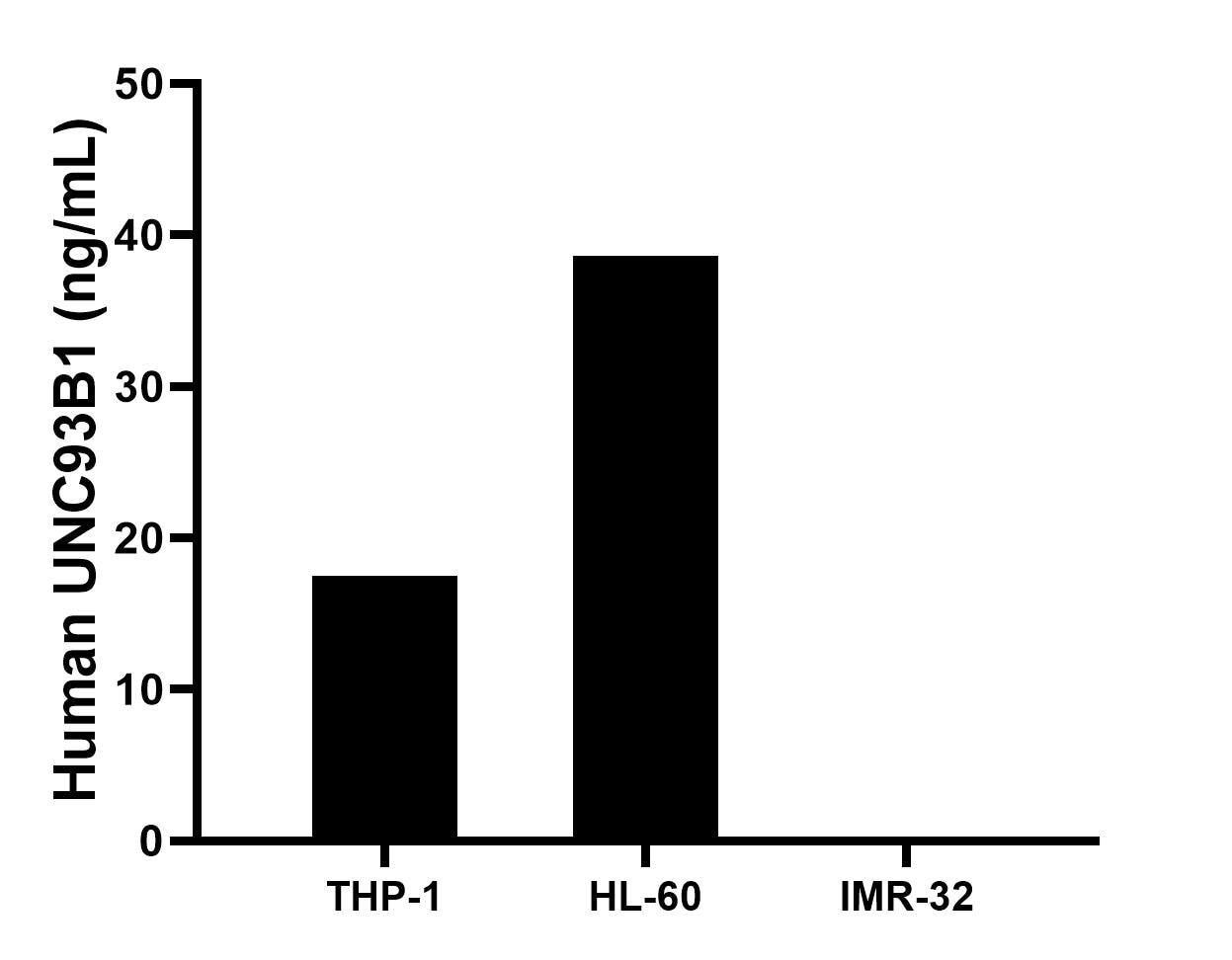 The mean UNC93B1 concentration was determined to be 17.5 ng/mL in THP-1 cell extract based on a 1.0 mg/mL extract load, 38.6 ng/mL in HL-60 cell extract based on a 1.0 mg/mL extract load, IMR-32 cell extract were served as a negative control.