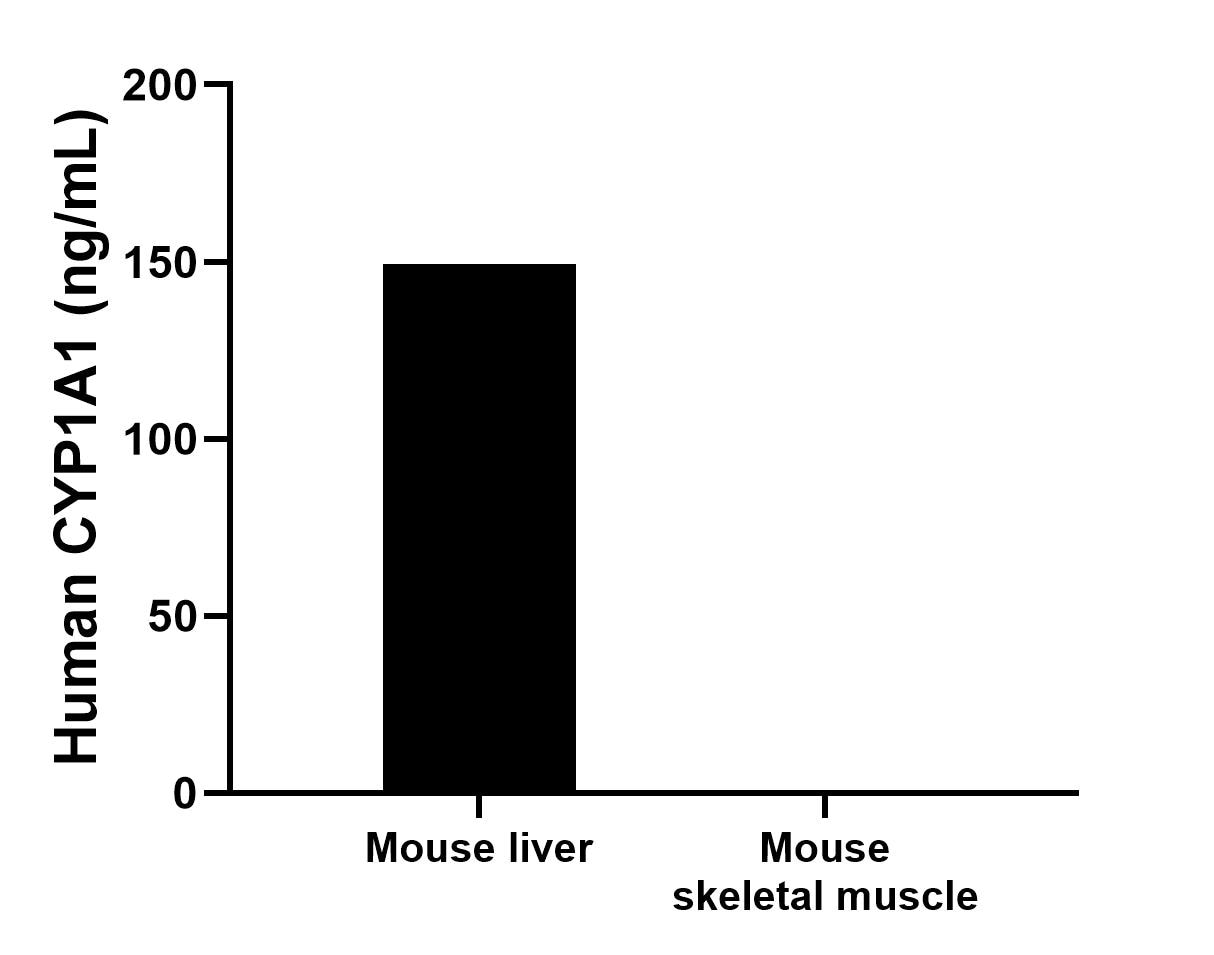 The mean CYP1A1 concentration was determined to be 149.2 ng/mL in mouse liver tissue extract based on a 1.0 mg/mL extract load, mouse skeletal muscle tissue extract were served as a negative control. The mean CYP1A1 concentration was determined to be 149.2 ng/mL in mouse liver tissue extract based on a 1.0 mg/mL extract load, mouse skeletal muscle tissue extract were served as a negative control.