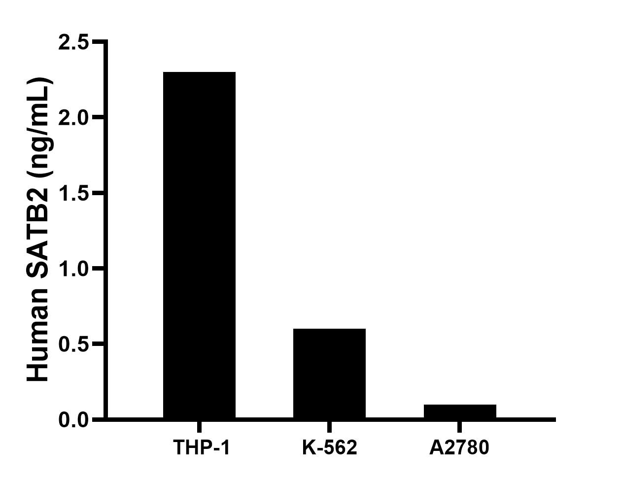 The mean SATB2 concentration was determined to be 2.3 ng/mL in THP-1 cell extract based on a 1.0 mg/mL extract load, 0.6 ng/mL in K-562 cell extract based on a 1.0 mg/mL extract load, 0.1 ng/mL in A2780 cell extract based on a 1.0 mg/mL extract load. The mean SATB2 concentration was determined to be 2.3 ng/mL in THP-1 cell extract based on a 1.0 mg/mL extract load, 0.6 ng/mL in K-562 cell extract based on a 1.0 mg/mL extract load, 0.1 ng/mL in A2780 cell extract based on a 1.0 mg/mL extract load.