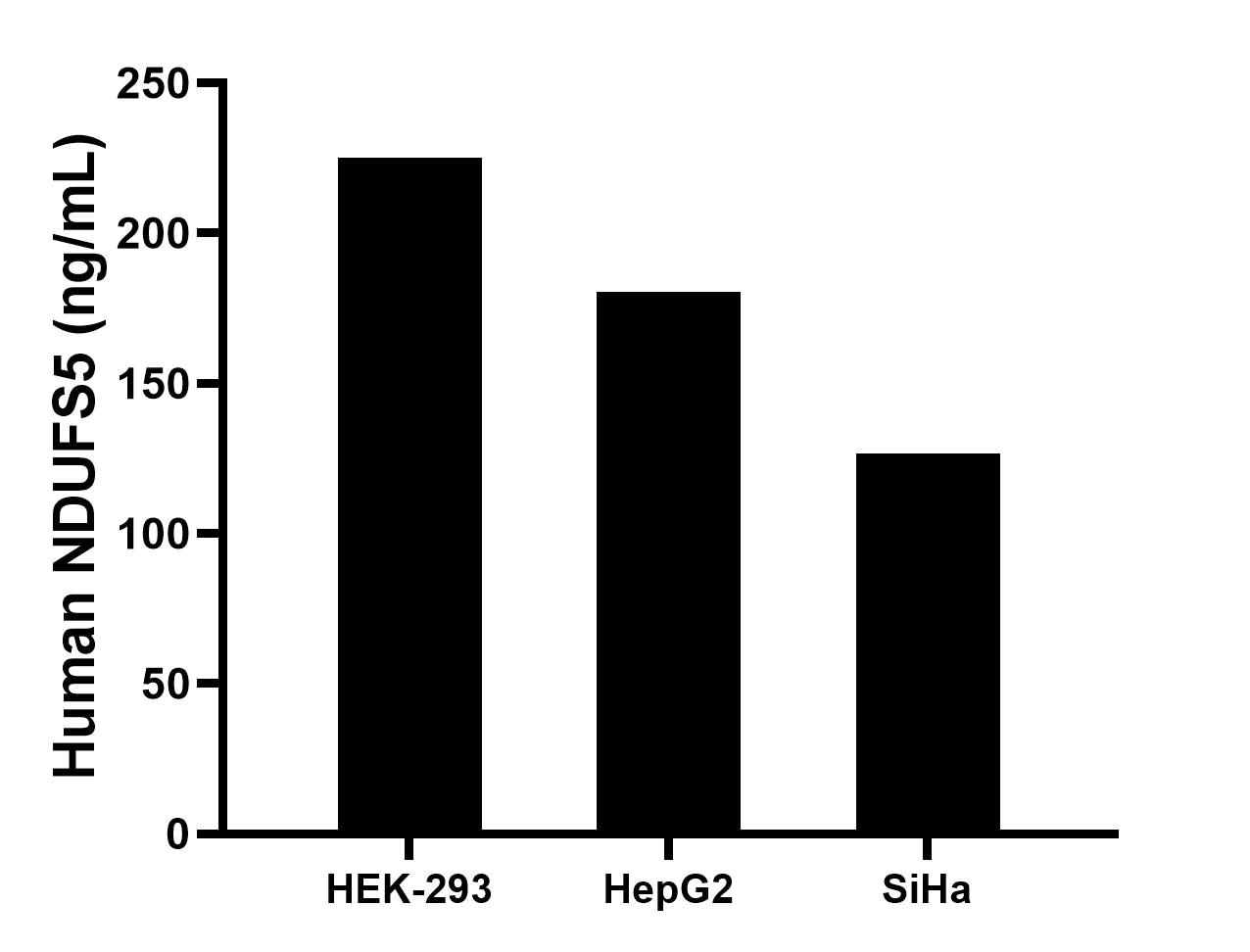 The mean NDUFS5 concentration was determined to be 225 ng/mL in HEK-293 cell extract based on a 1.2 mg/mL extract load, 180.3 ng/mL in HepG2 cell extract based on a 1.2 mg/mL extract load, 126.5 ng/mL in SiHa cell extract based on a 1.2 mg/mL extract load.