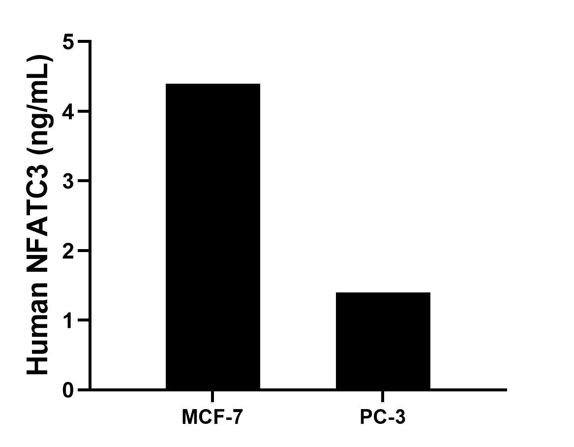 The mean NFATC3 concentration was determined to be 4.4 ng/mL in MCF-7 cell extract based on a 1.2 mg/mL extract load, 1.4 ng/mL in PC-3 cell extract based on a 1.2 mg/mL extract load.