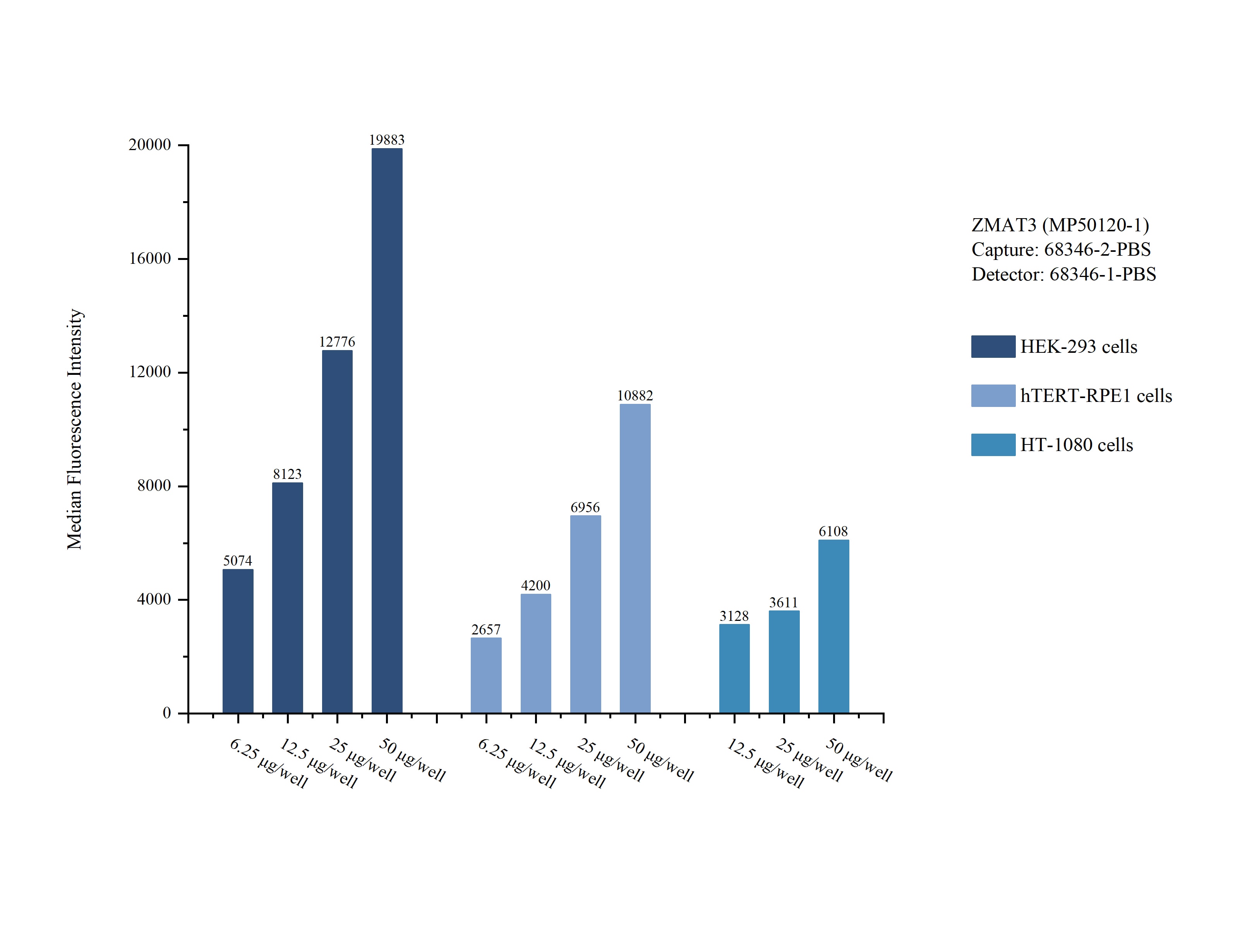 Cytometric bead array sample test of MP50120-1
