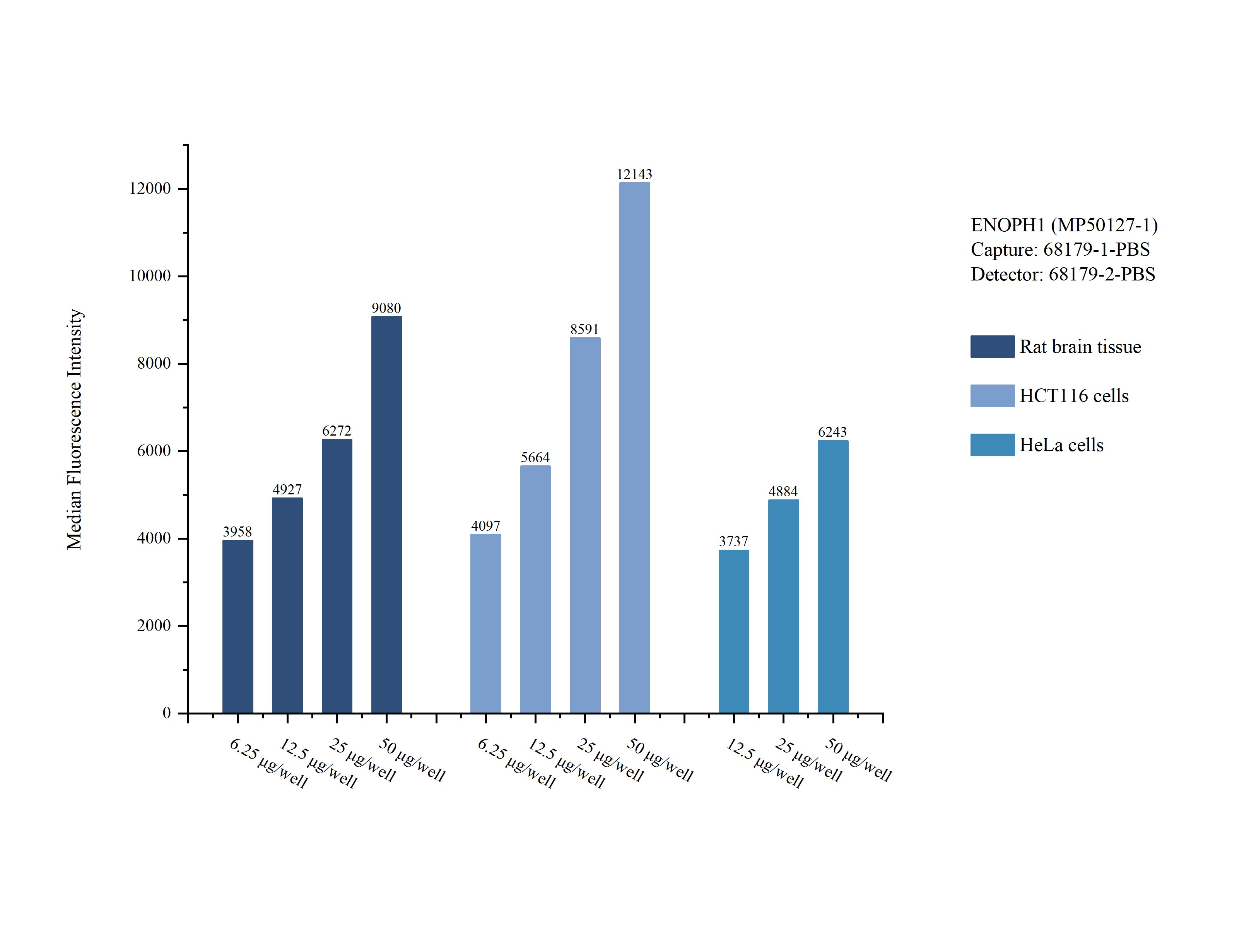 Cytometric bead array sample test of MP50127-1
