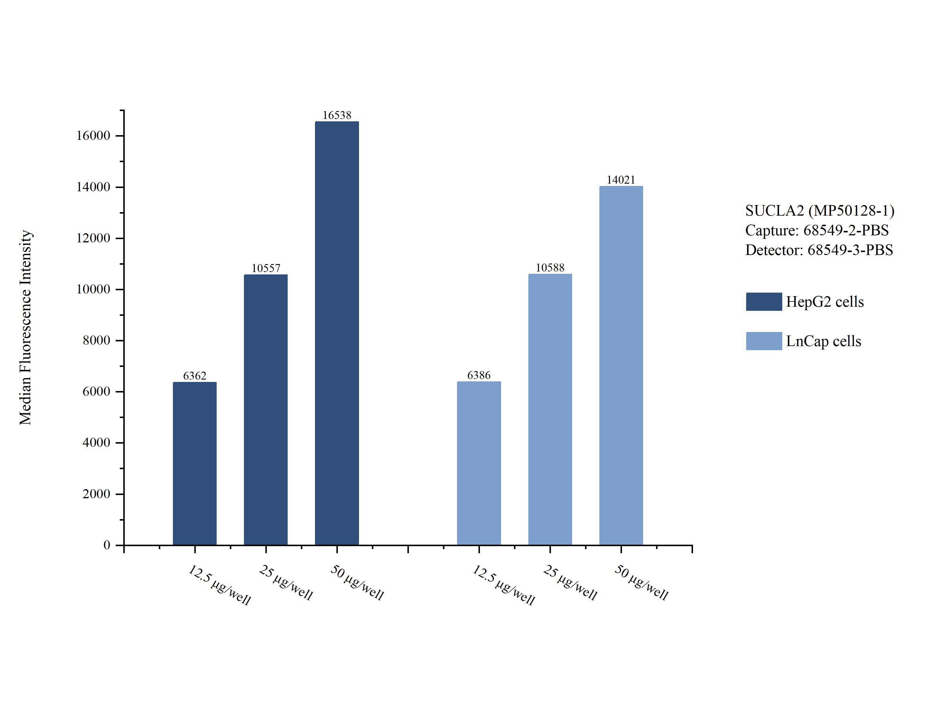 Cytometric bead array sample test of MP50128-1