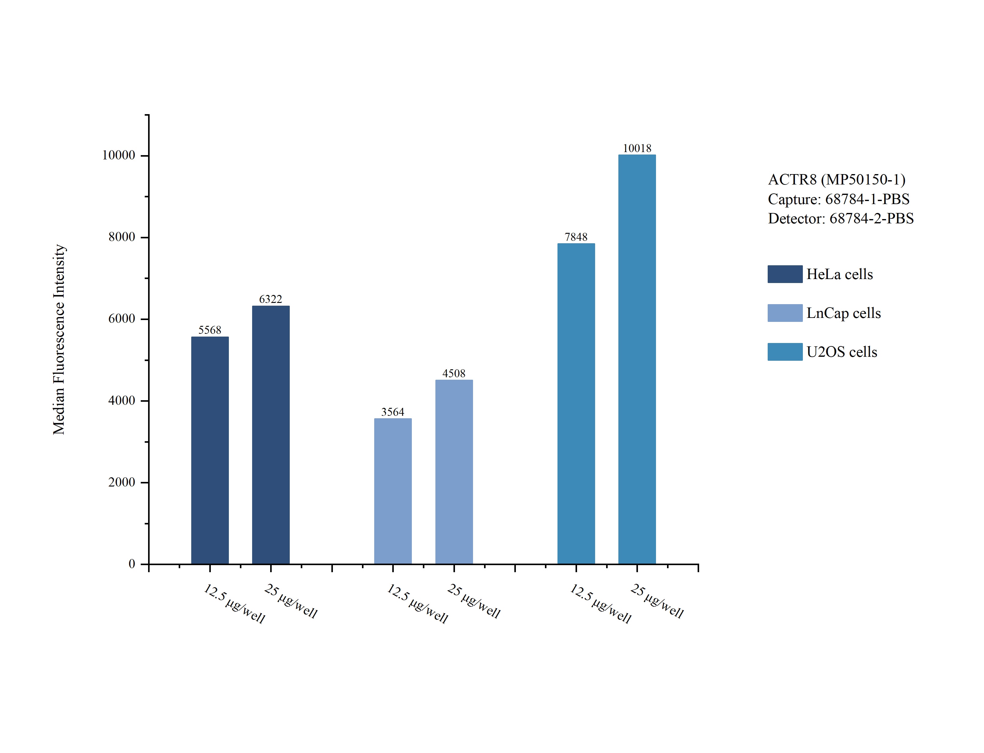 Cytometric bead array sample test of MP50150-1