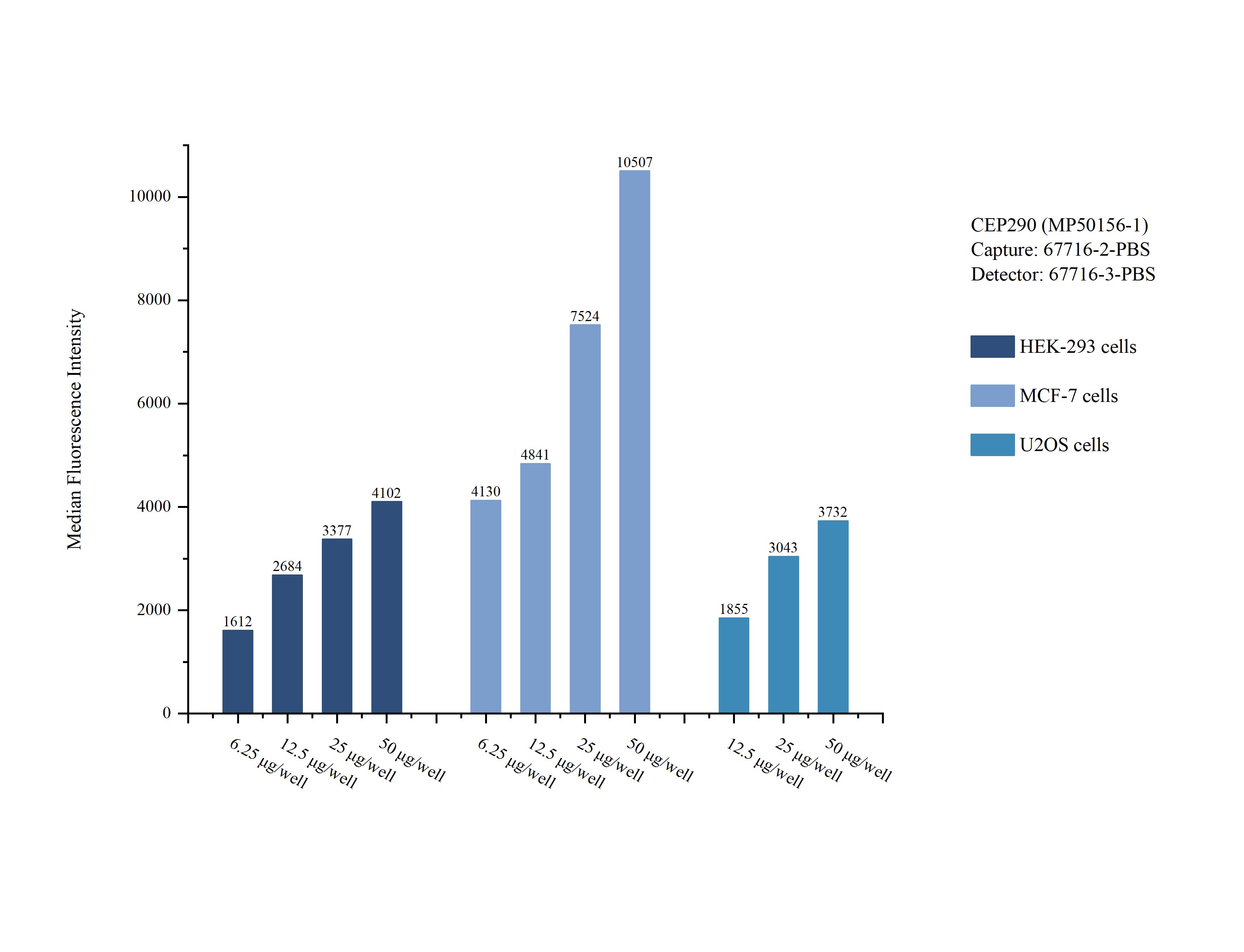 Cytometric bead array sample test of MP50156-1
