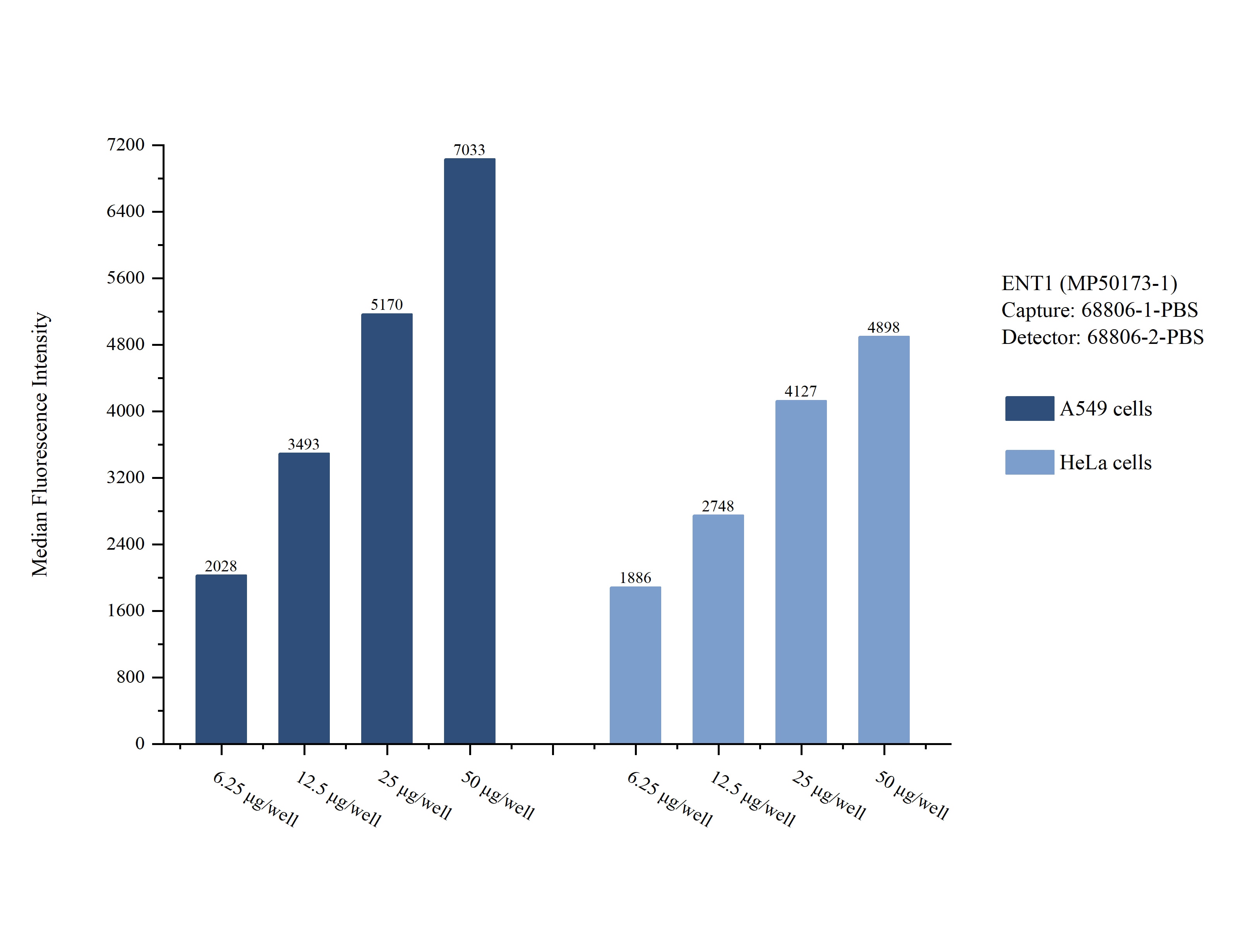 Cytometric bead array sample test of MP50173-1