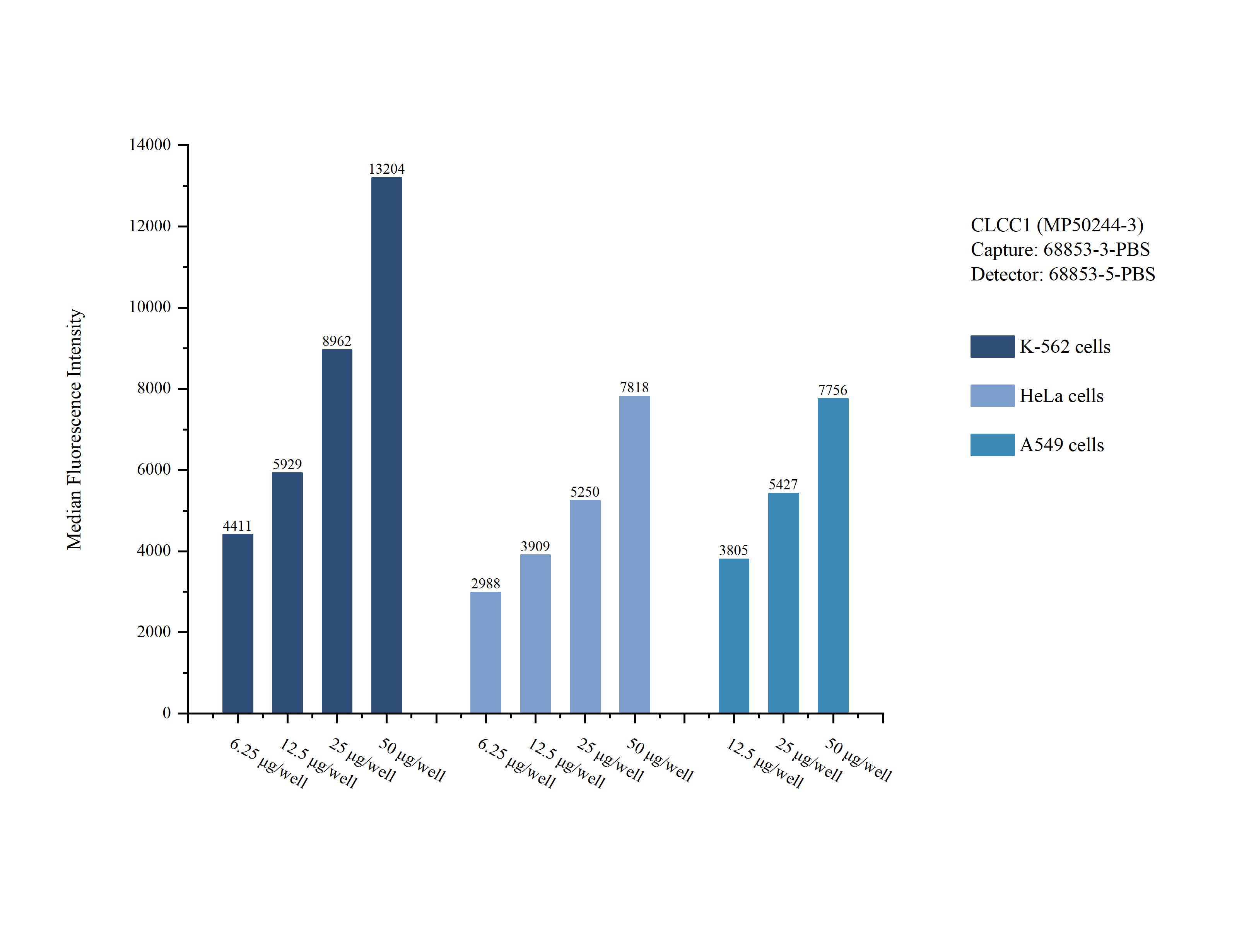 Cytometric bead array sample test of MP50244-3